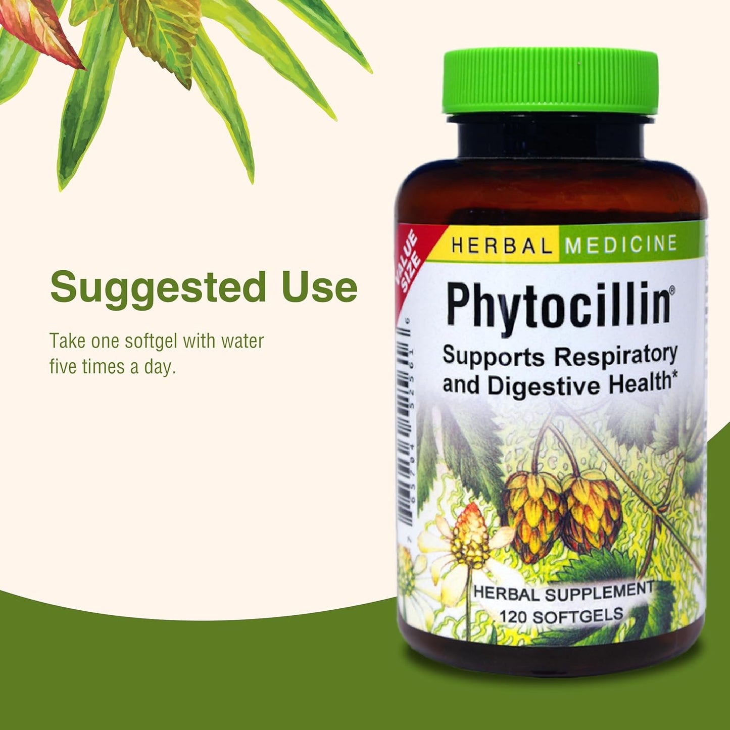Herbs Etc. Phytocillin Softgels - Respiratory & Digestive Health Support Supplement - Herbal Formula for Healthy Breathing - 120 Servings