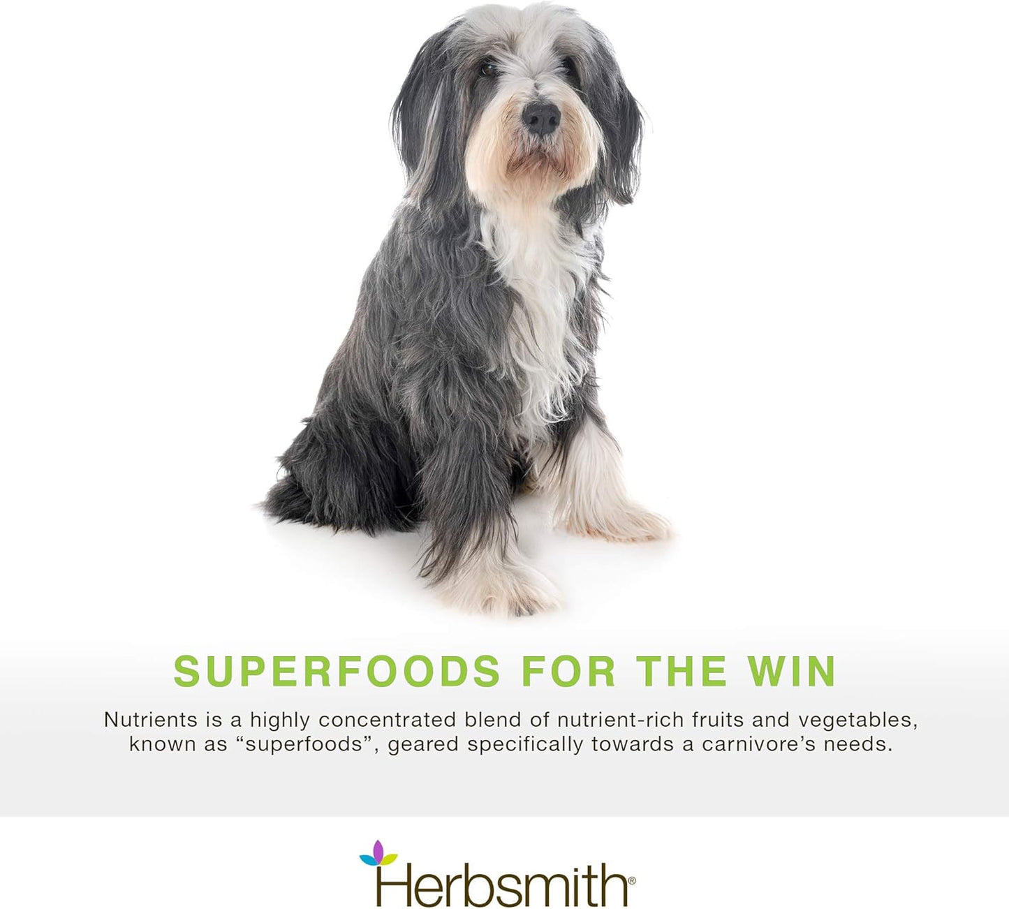 Herbsmith Nutrients Superfood Dog Multivitamin with Whole Food Vitamins & Minerals - 17.63 oz