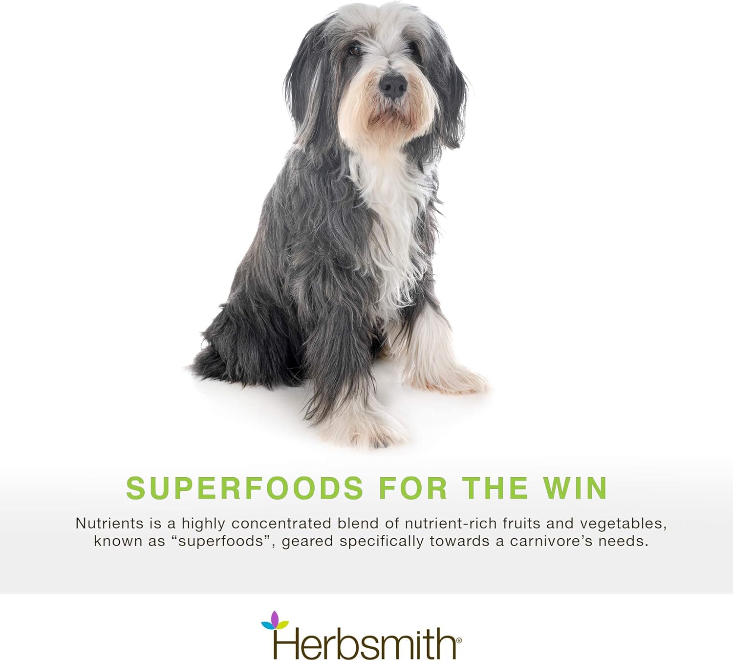 Herbsmith Nutrients Superfood Dog Multivitamin with Whole Food Vitamins & Minerals - 17.63 oz