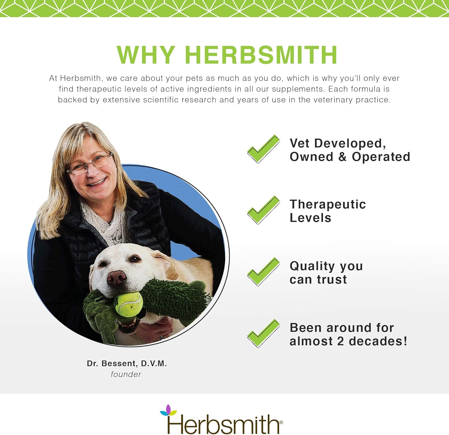 Herbsmith Nutrients Superfood Dog Multivitamin with Whole Food Vitamins & Minerals - 17.63 oz