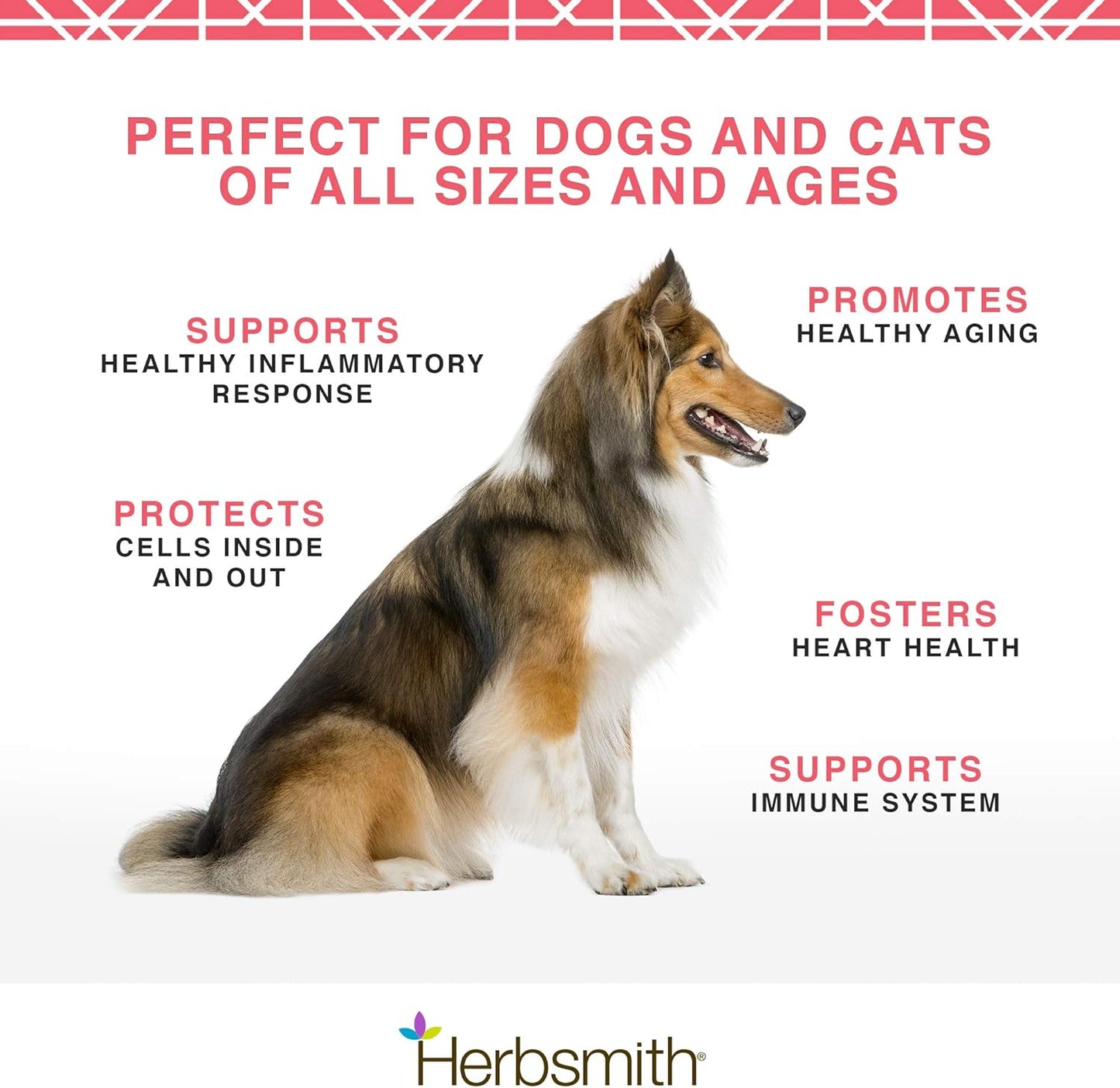 Herbsmith Pure Krill for Dogs - Wild-Caught Antarctic Krill with Astaxanthin - Ready-to-Use Omega 3s - 75g Pack