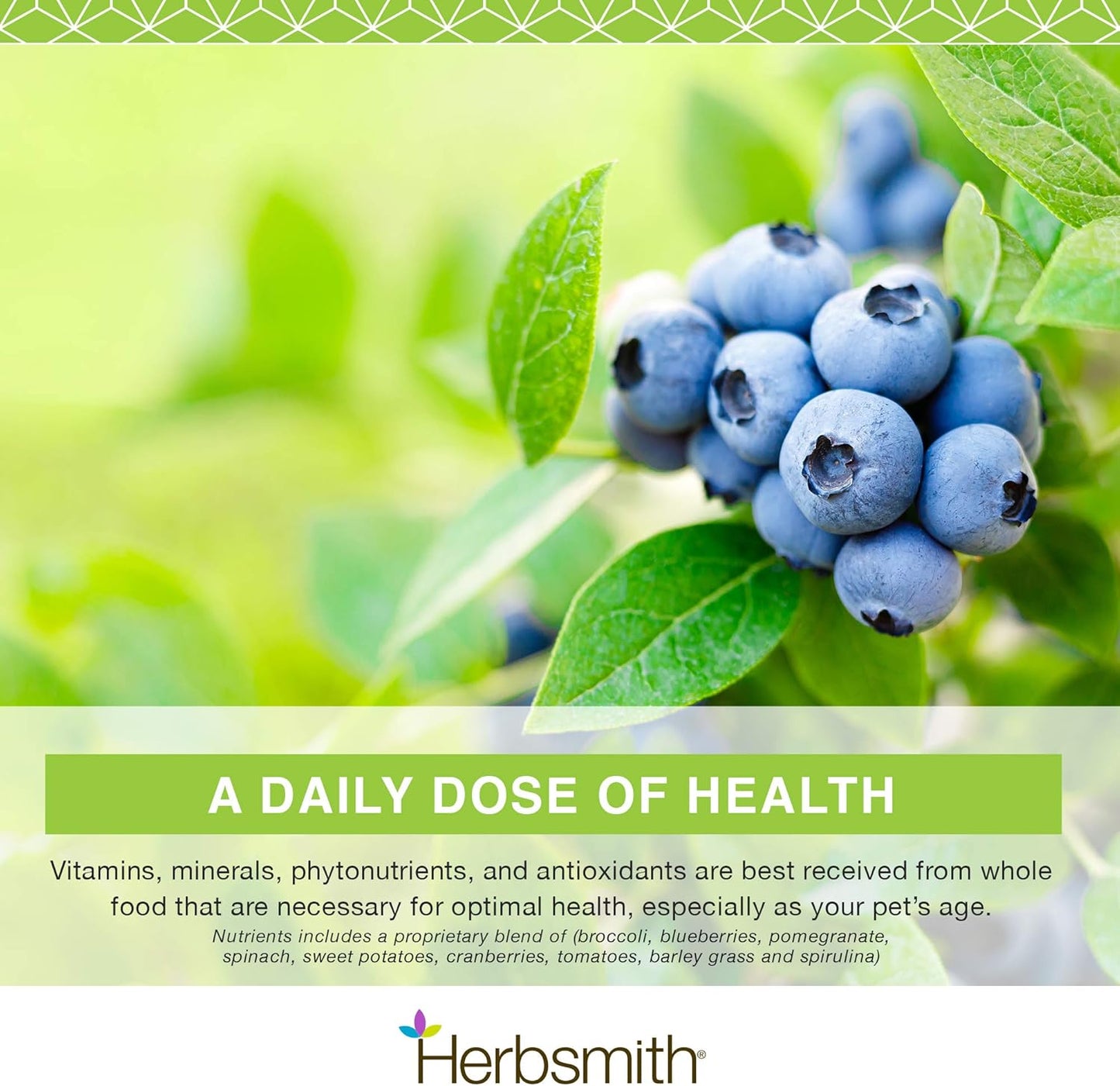 Herbsmith Superfood Dog Multivitamin with Whole Foods for Puppies to Seniors - 6.5 oz