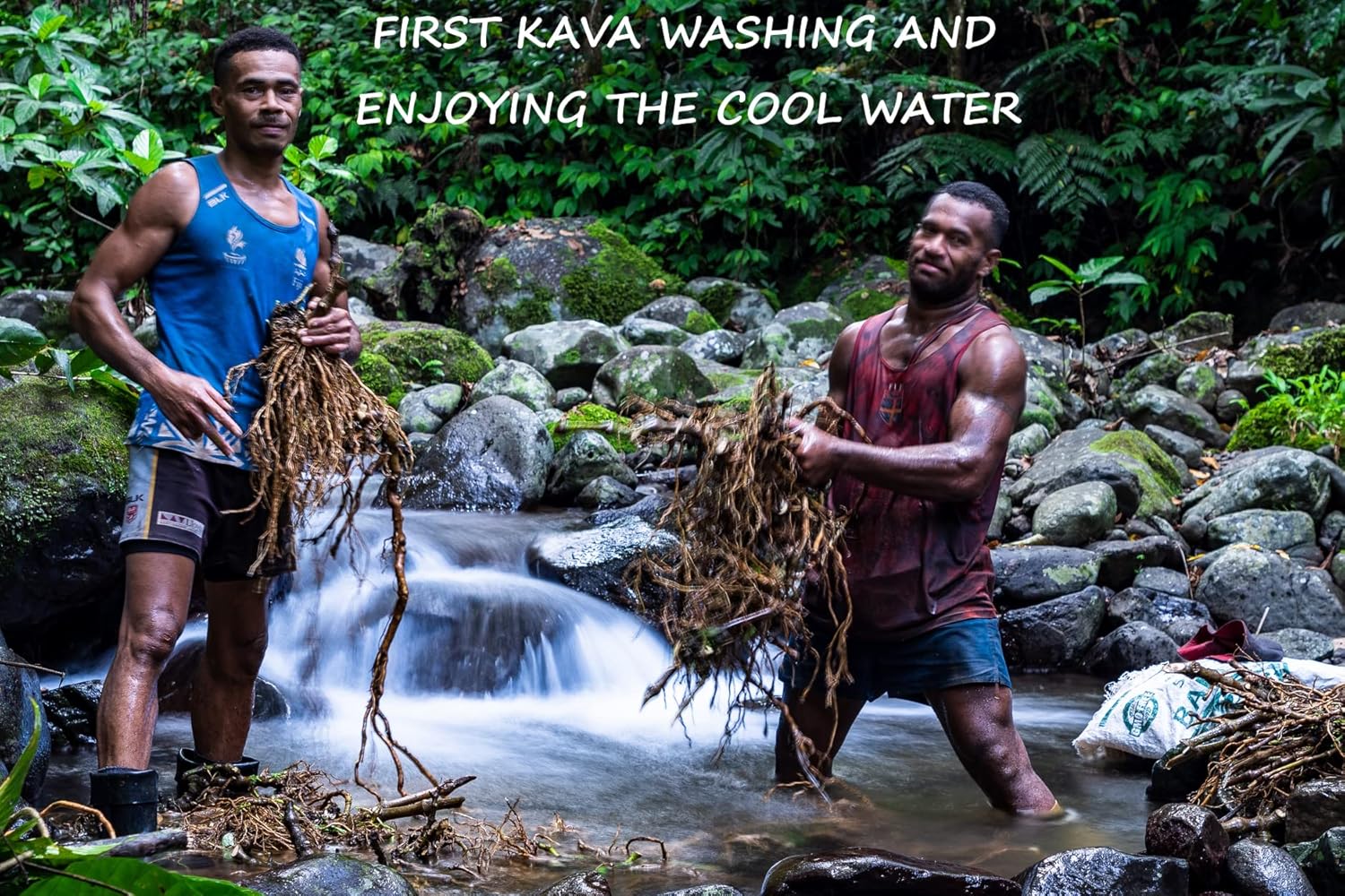 Heritage Kava Premium Fiji Noble Kava Root Powder - 16 Ounces/1 Pound