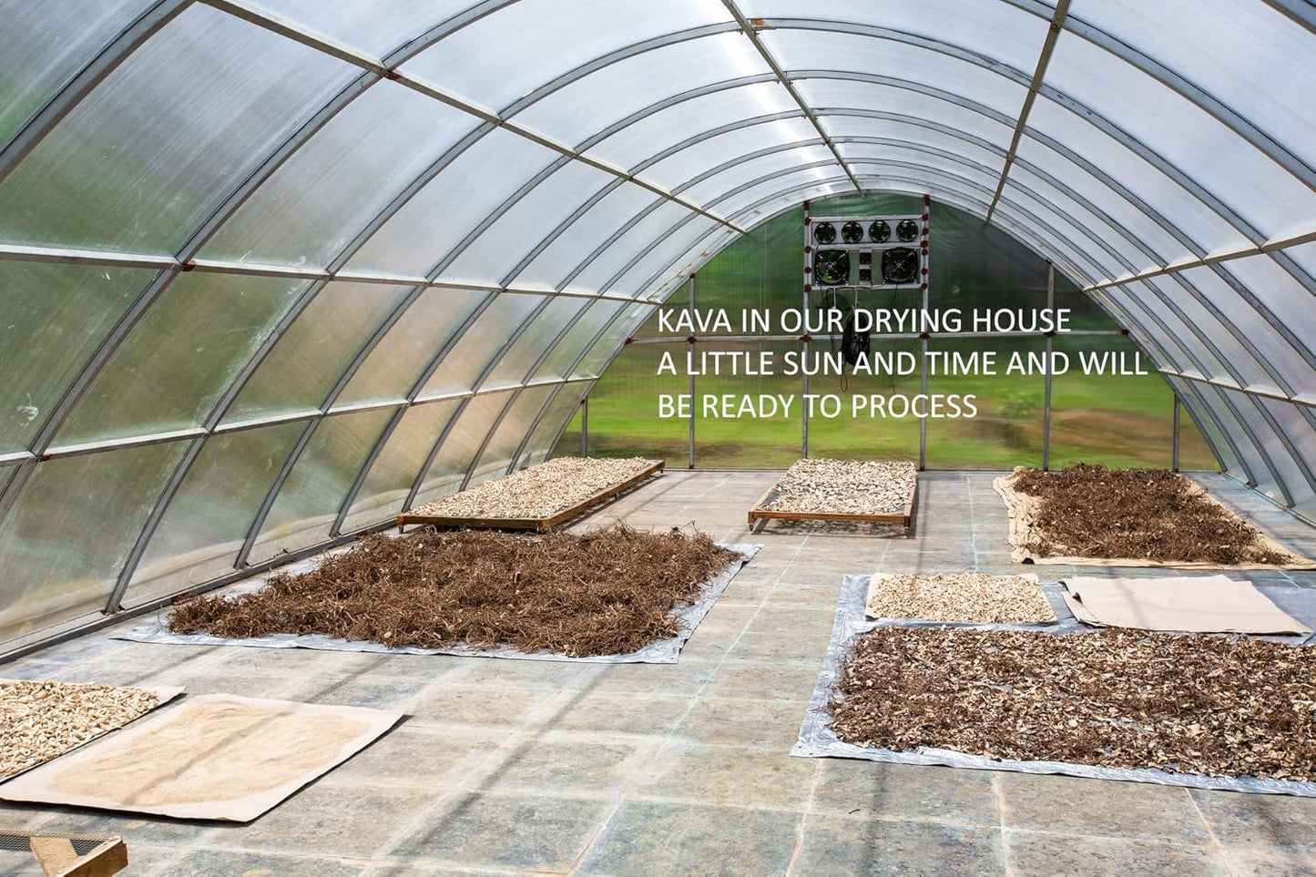 Heritage Kava Premium Fiji Noble Kava Root Powder - 16 Ounces/1 Pound