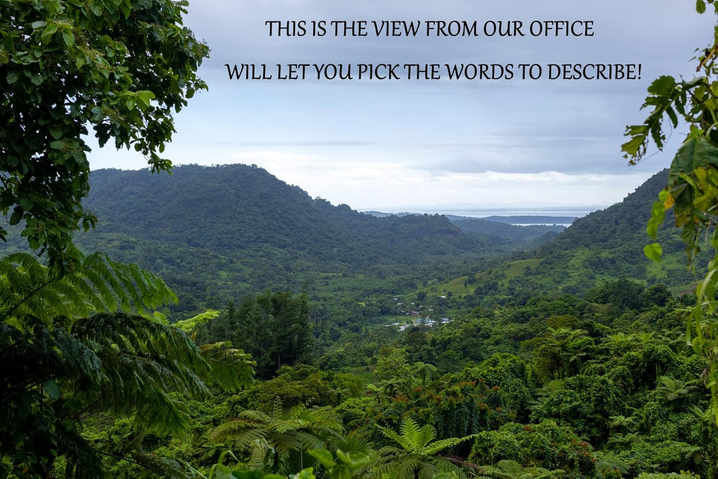 Heritage Kava Premium Fiji Noble Kava Root Powder - 16 Ounces/1 Pound