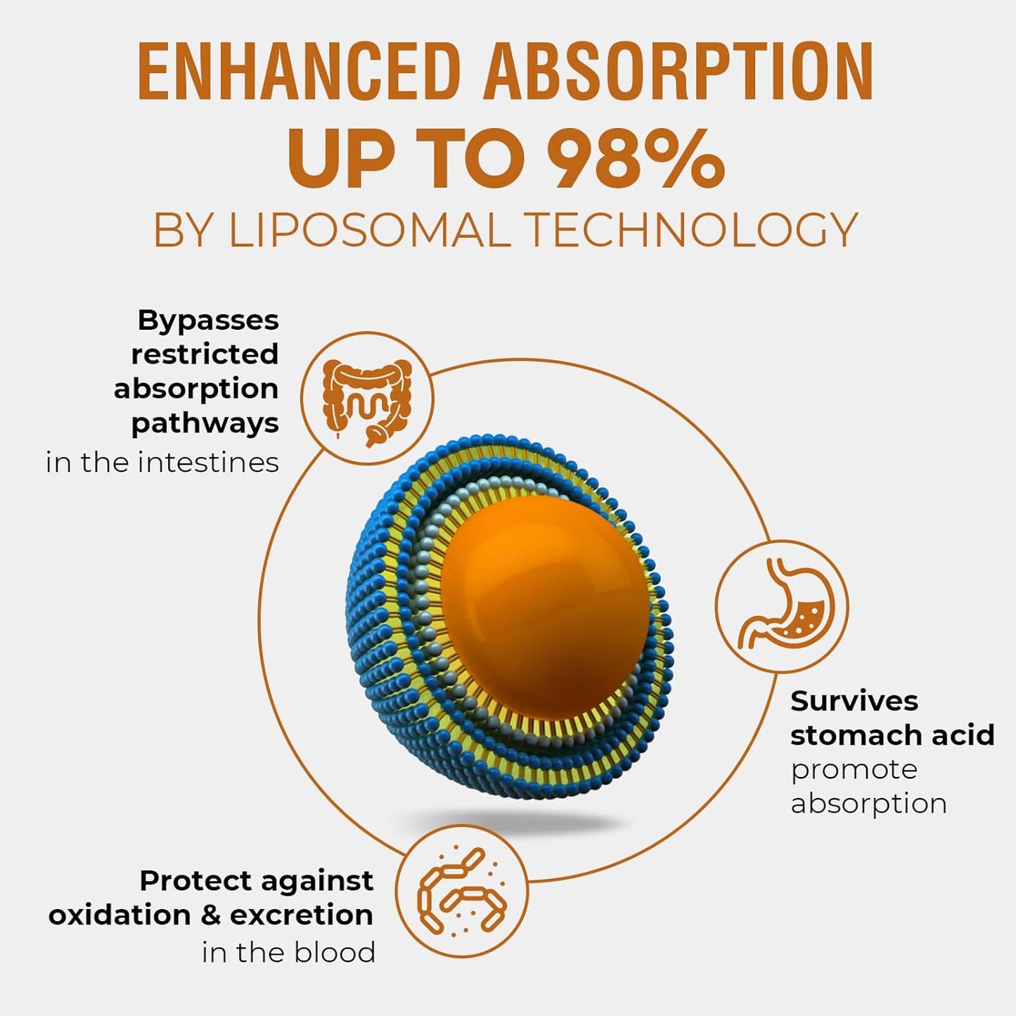 High Absorption 57,000 MG Liposomal Rhodiola Rosea Liquid Supplement for Energy, Stress, Mood - Vegan 240ml Tincture