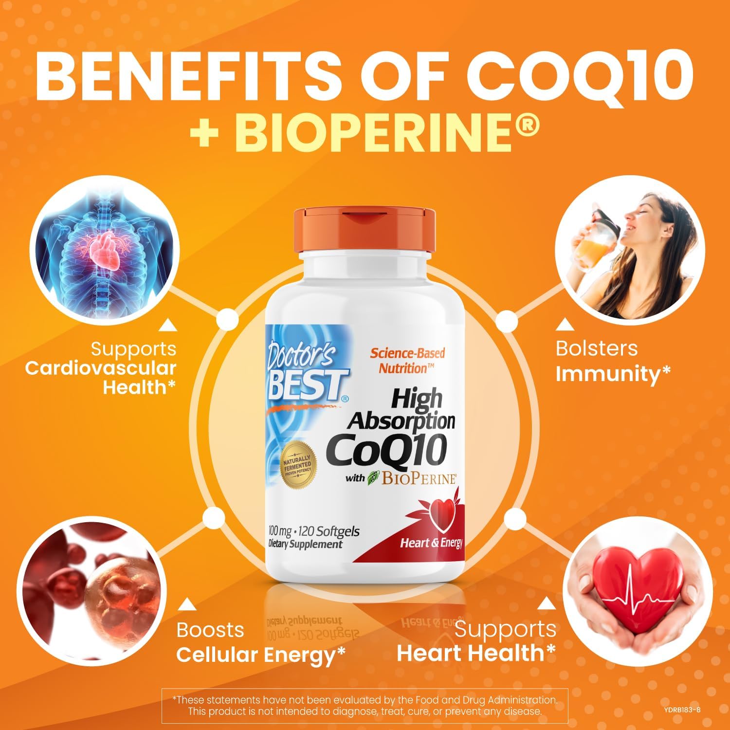 High Absorption Curcumin & CoQ10 with BioPerine for Heart Health, Gluten Free & Naturally Fermented