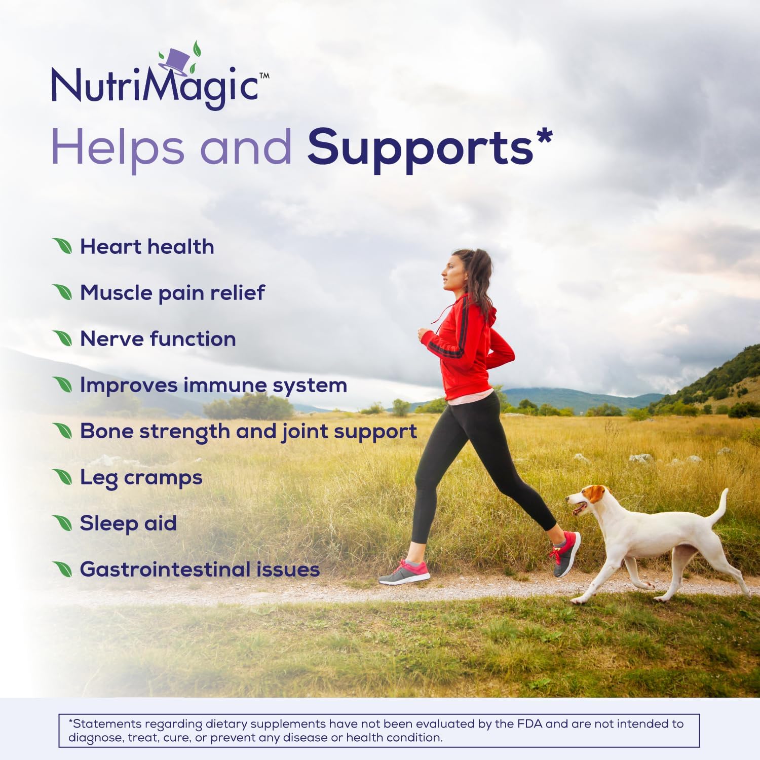 High Absorption Elemental Magnesium 520mg Capsules - Natural Dead Sea Mineral Complex for Heart, Muscle, Bone, Brain Health - Vegan, 60 Count - BoostGo Australia