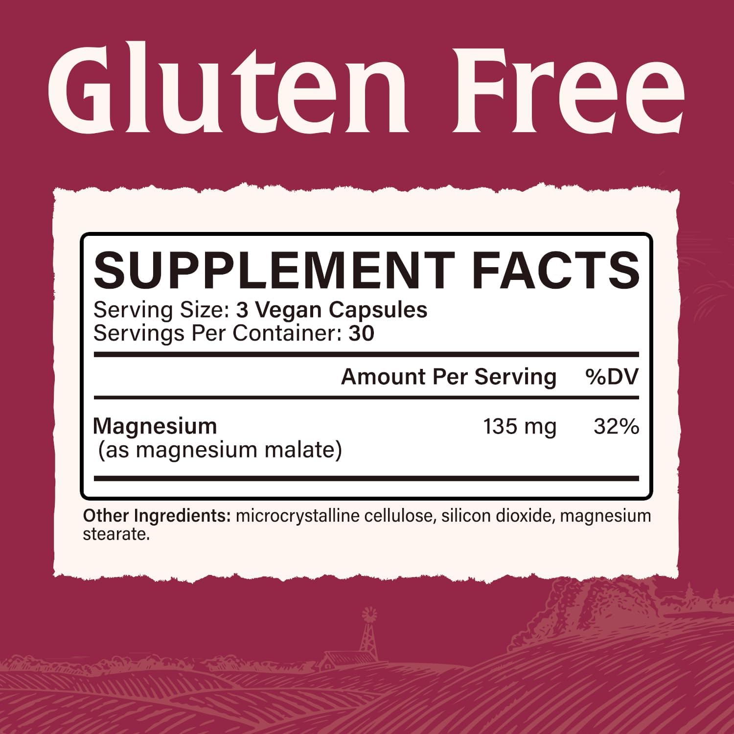 High Absorption Magnesium Malate Capsules for Energy & Muscle Recovery - 90 Vegan Capsules, Chelated Mineral Supplement for Men, Women, & Kids