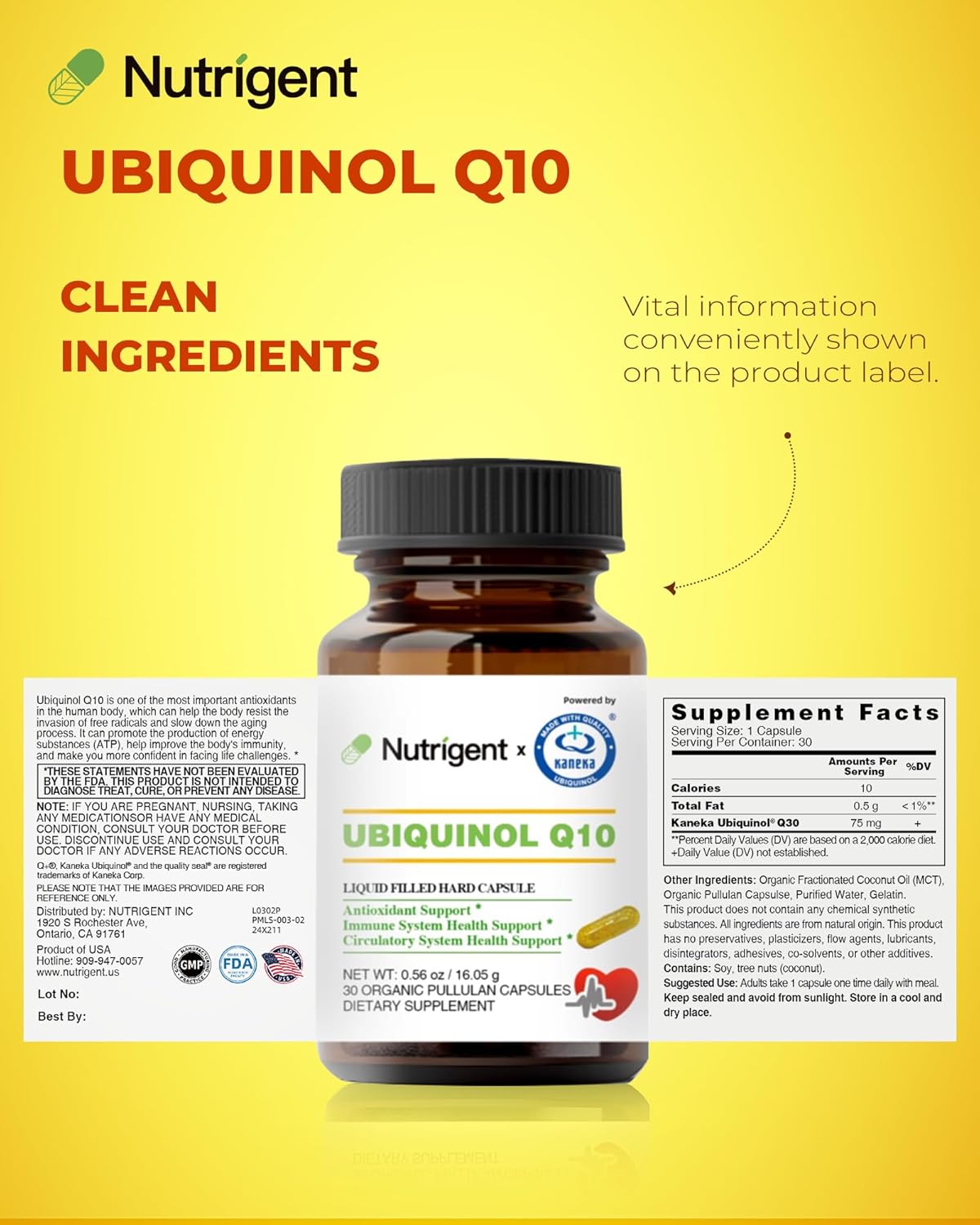 High Absorption Nutrigent Ubiquinol CoQ10 75 mg Liquid Capsules - Organic Heart Health & Energy Production Antioxidant Supplement - 30 Count