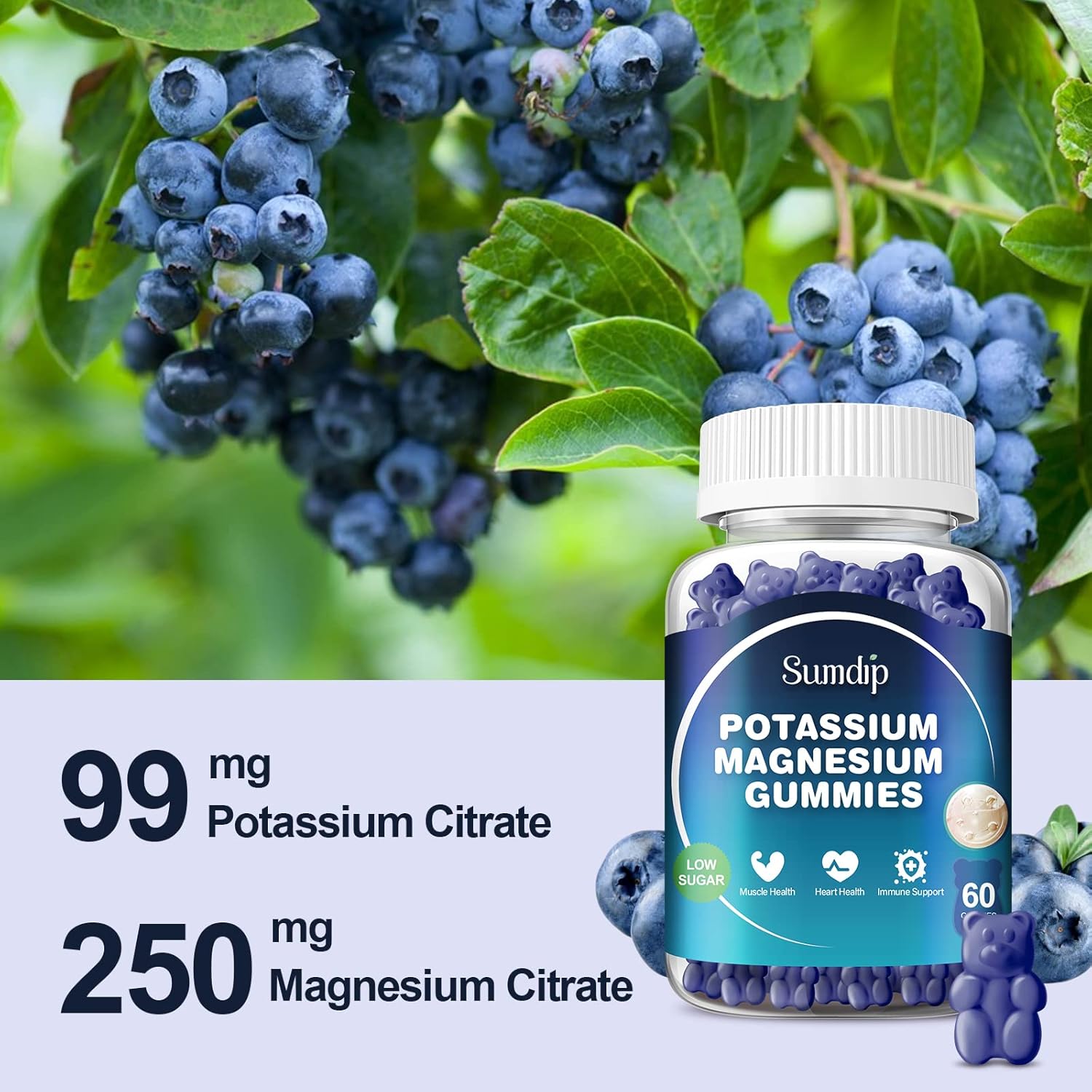 High Absorption Potassium Magnesium Gummies for Leg Cramp Support - 60 Gummies for Men and Women