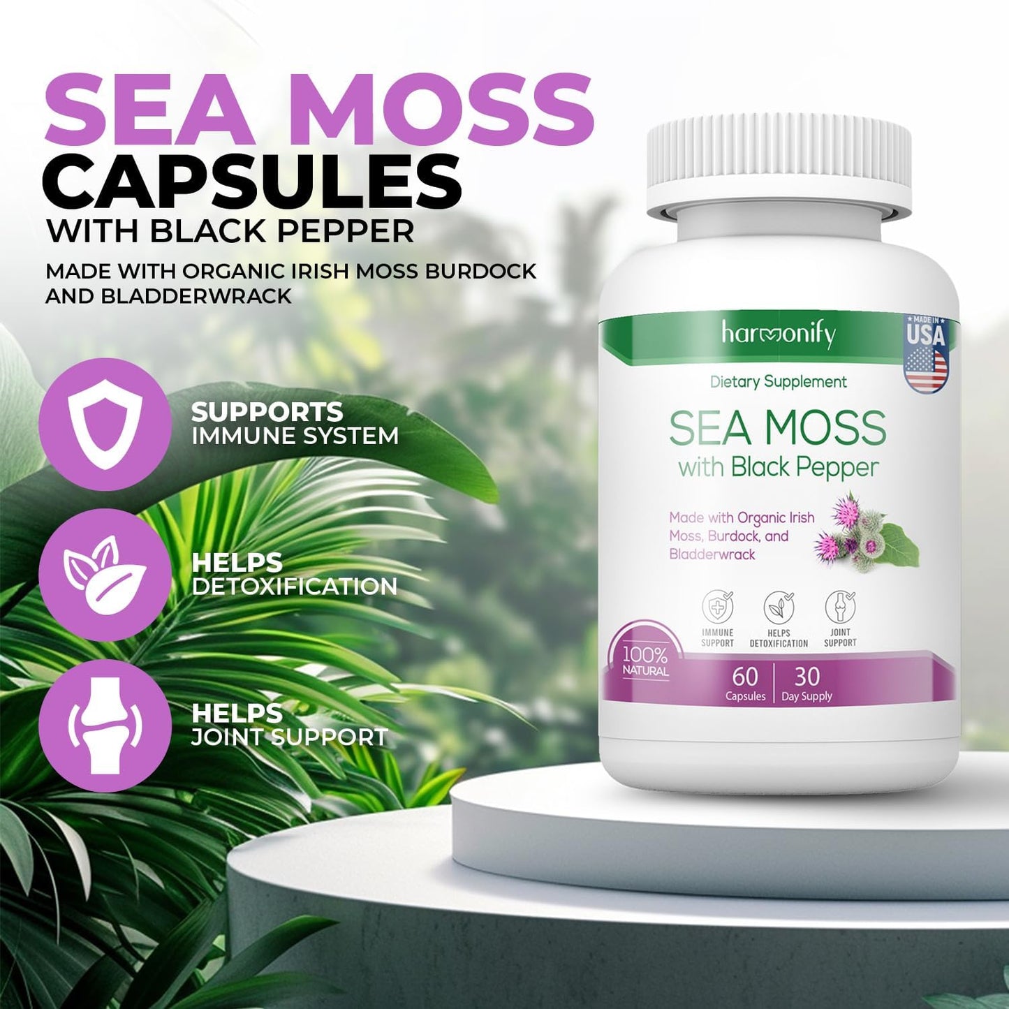 High Absorption Sea Moss Supplement 1500mg with Irish Moss, Burdock, and Bladderwrack Root - Raw Non-GMO Cell Food for Immune Support