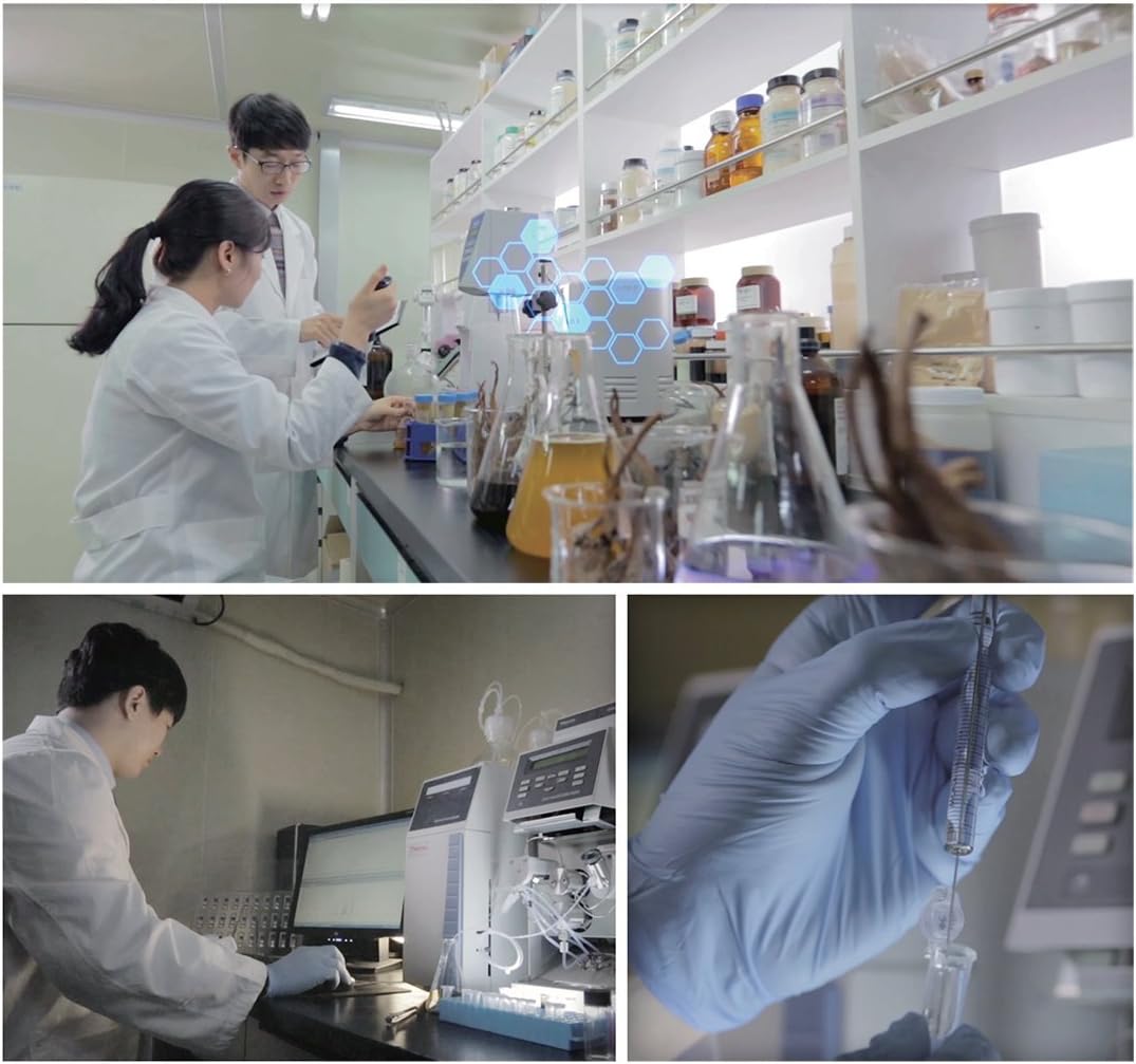 High Ginsenoside Technology Red Ginseng Extract for Immune Support, Focus, Memory, Energy - Men & Women's Supplement