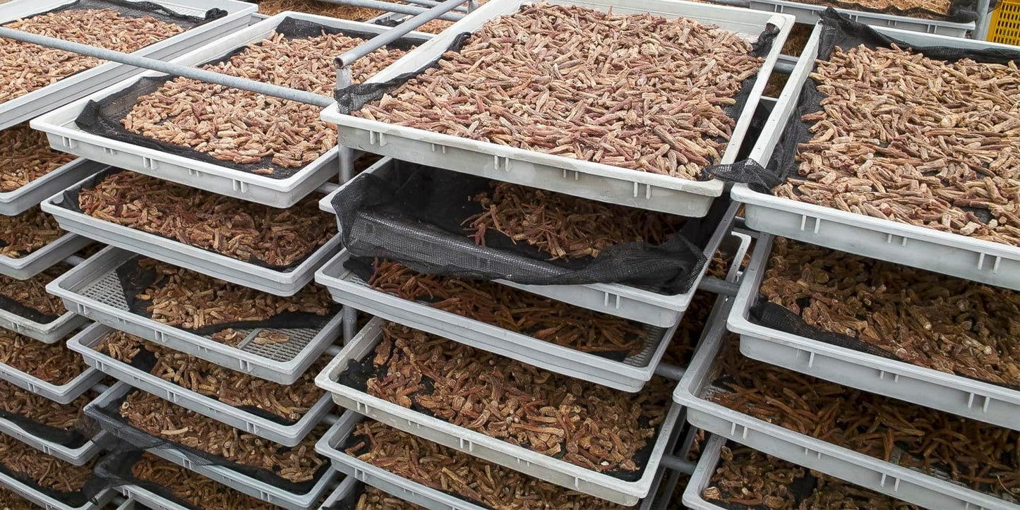 High Ginsenoside Technology Red Ginseng Extract for Immune Support, Focus, Memory, Energy - Men & Women's Supplement