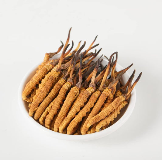 High Grade Genuine Wild Cordyceps Sinensis Mushroom from Lamjung Nepal - Boost Energy and Reduce Stress - 5 Grams
