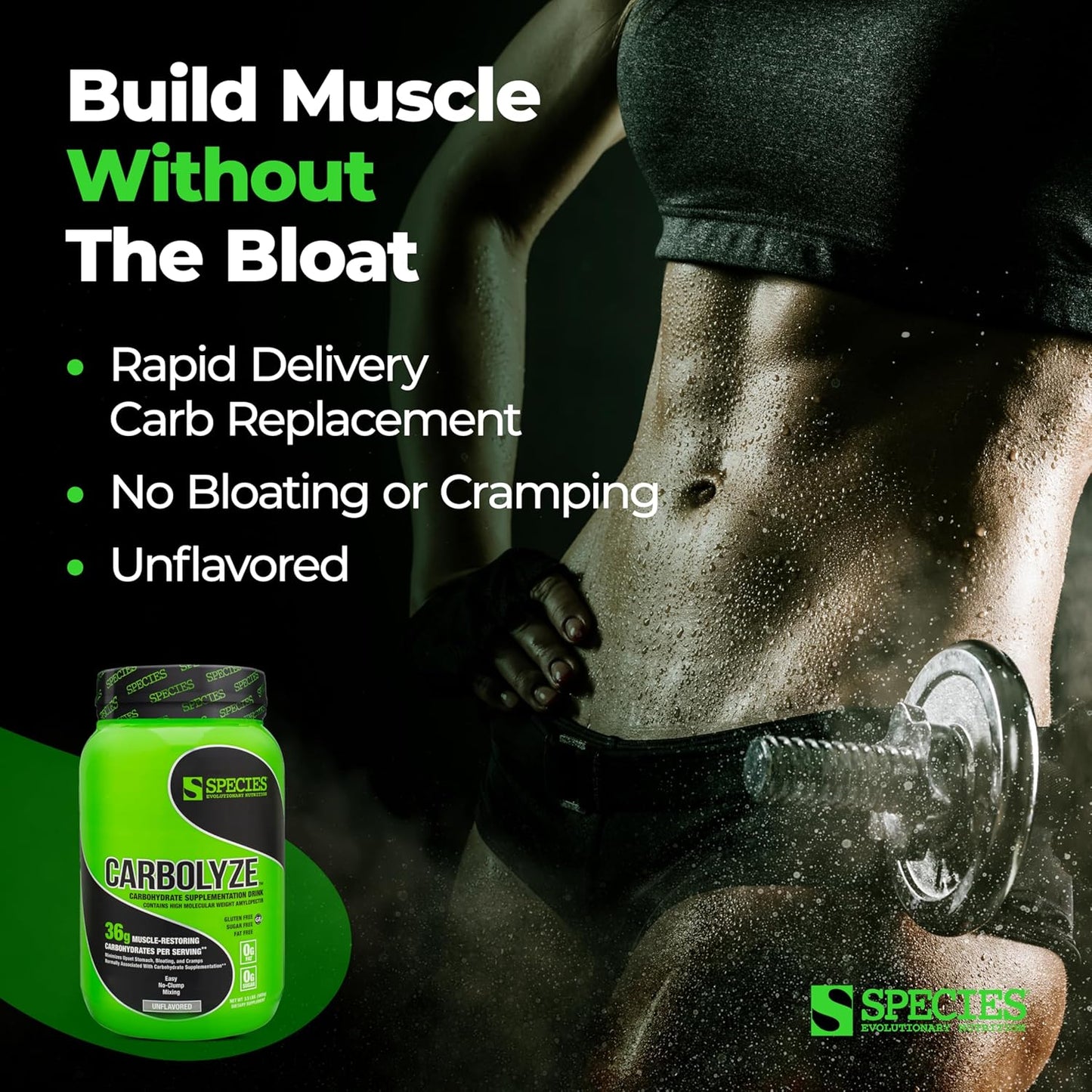 High Molecular Weight Micronized Carb Powder Supplement for Intra & Post Workout, 40 Servings, Sugar-Free Formula with No Bloating or Cramping