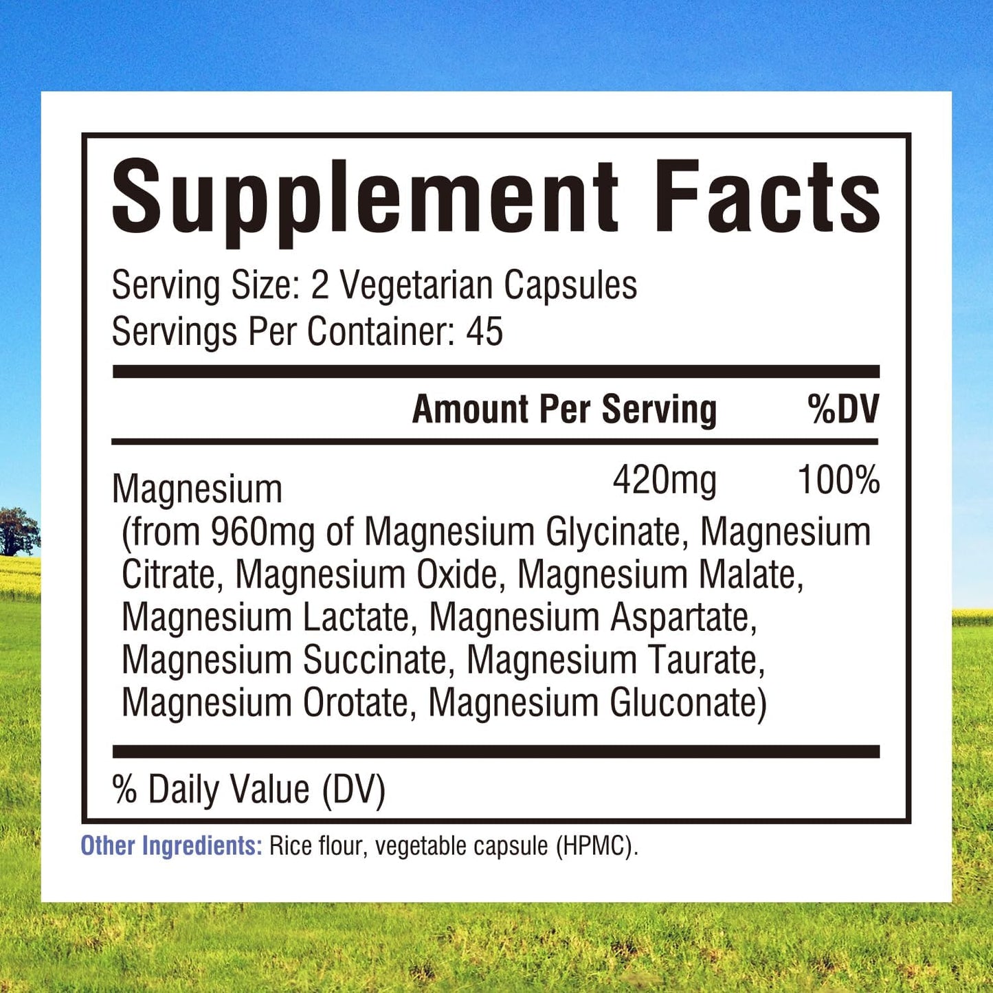 High Potency 10-in-1 Magnesium Complex with 420mg Elemental Mag, Full Spectrum Support, Non-GMO, 90 Vegan Capsules
