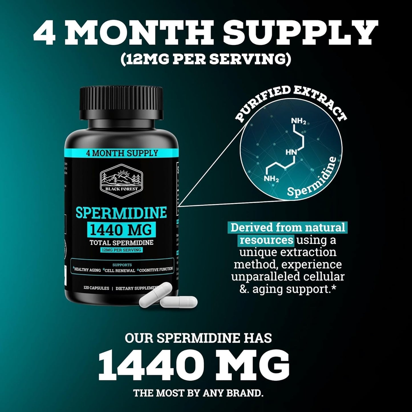 High Potency Black Forest Spermidine Supplement for Cellular Health, Anti-Aging & Energy - 4 Months Supply, 1440mg, 99% Pure - Women & Men