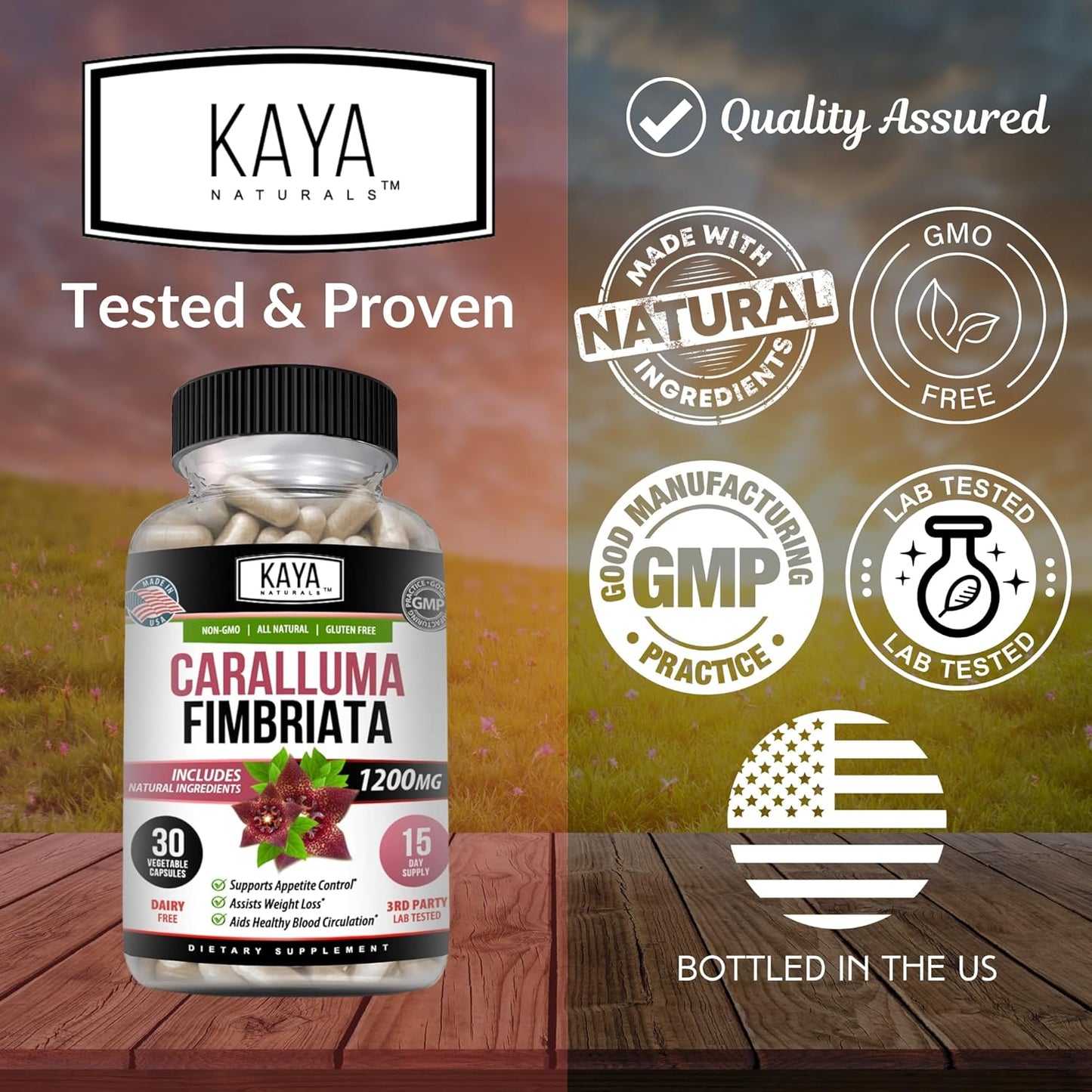High Potency Caralluma Fimbriata 1200mg Supplement for Endurance Support - 30 Vegetarian Capsules by Kaya Naturals
