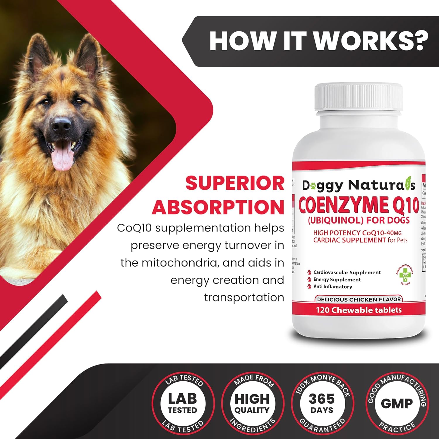 High Potency Coenzyme Q10 for Dogs - 40mg UBIQUINOL (120 Tabs) - Made in U.S.A. - Pet Health Pharma Supplement