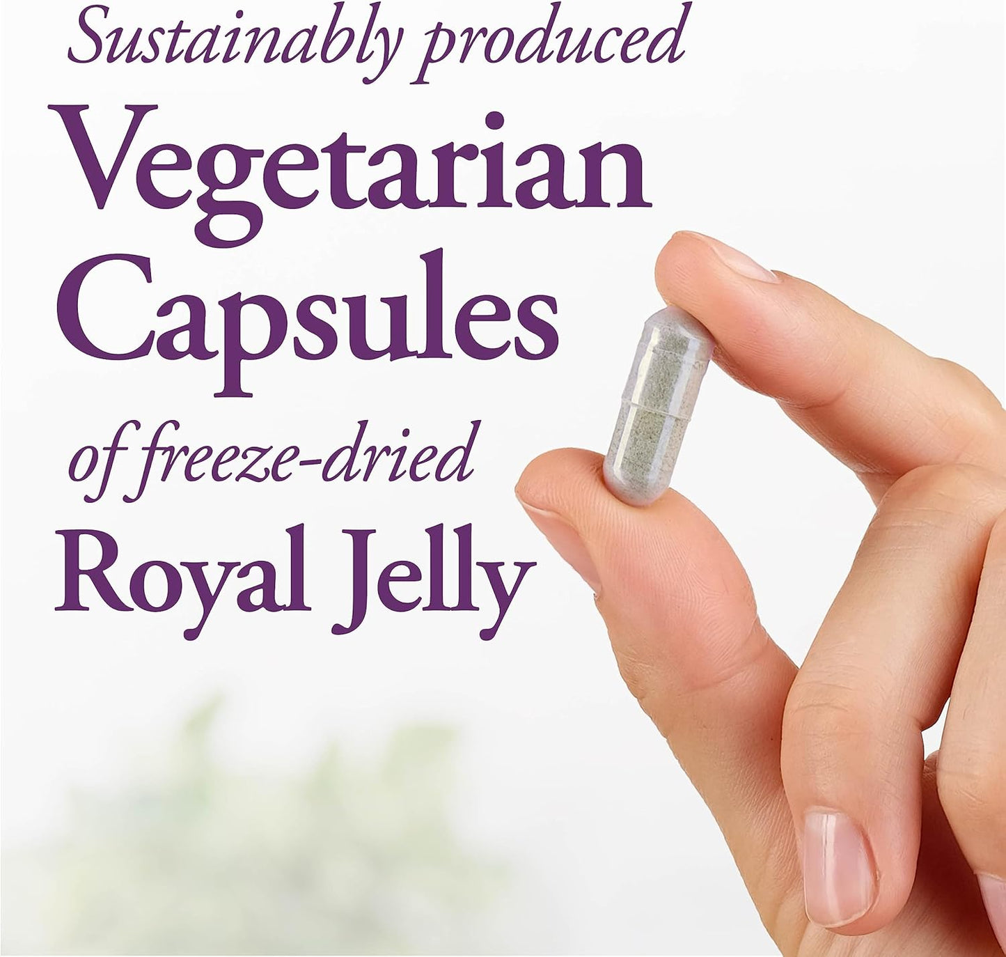 High Potency Dutchman's Gold Royal Jelly Capsules - 1000 mg - 90 Count