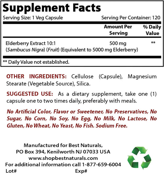 High Potency Elderberry 5000 mg & Ginkgo Biloba 120 mg Supplement for Immune Support