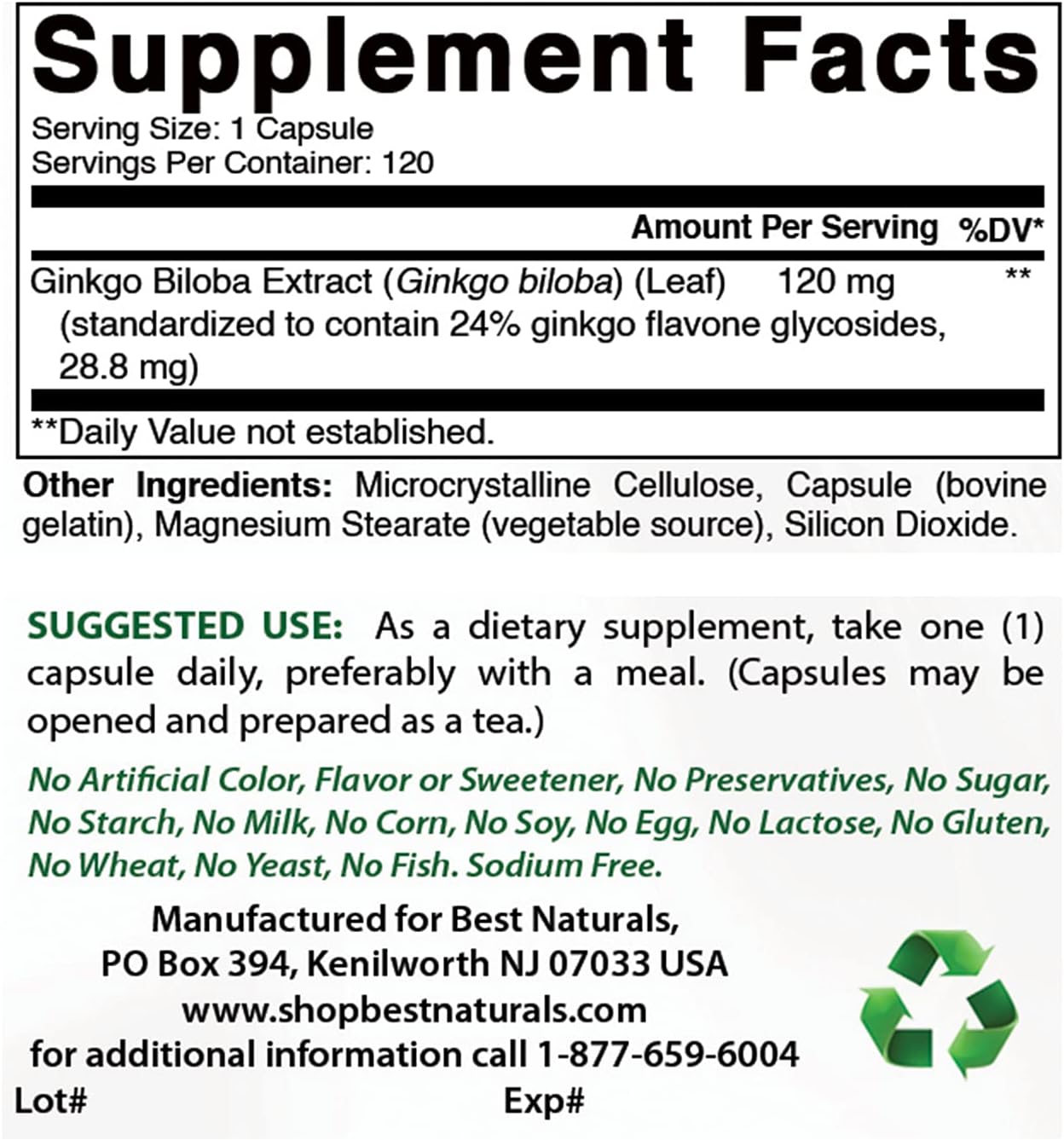 High Potency Elderberry 5000 mg & Ginkgo Biloba 120 mg Supplement for Immune Support