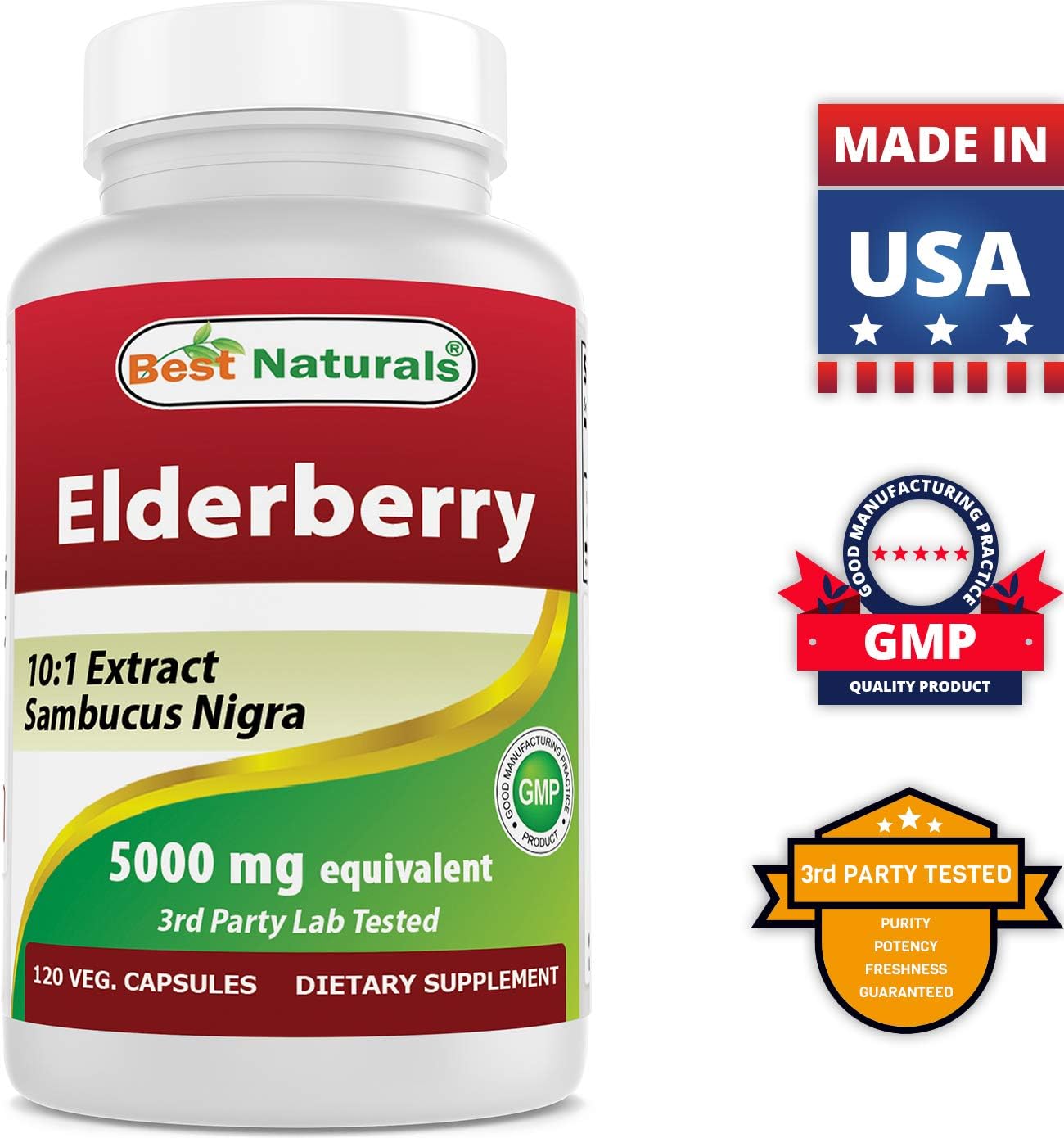 High Potency Elderberry 5000 mg & Ginkgo Biloba 120 mg Supplement for Immune Support
