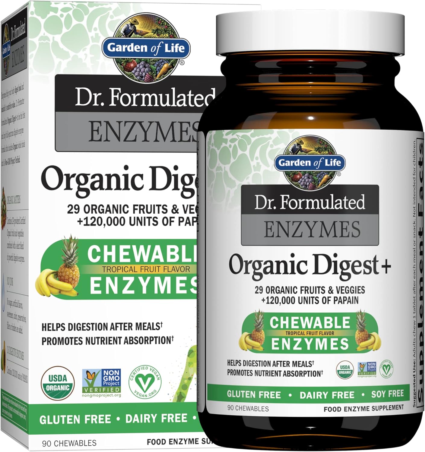 High Potency Garden of Life Dr Formulated Digestive Enzymes with Papain, Bromelain & Zinc Supplements - Raw Zinc and Vitamin C Multimineral Supplement