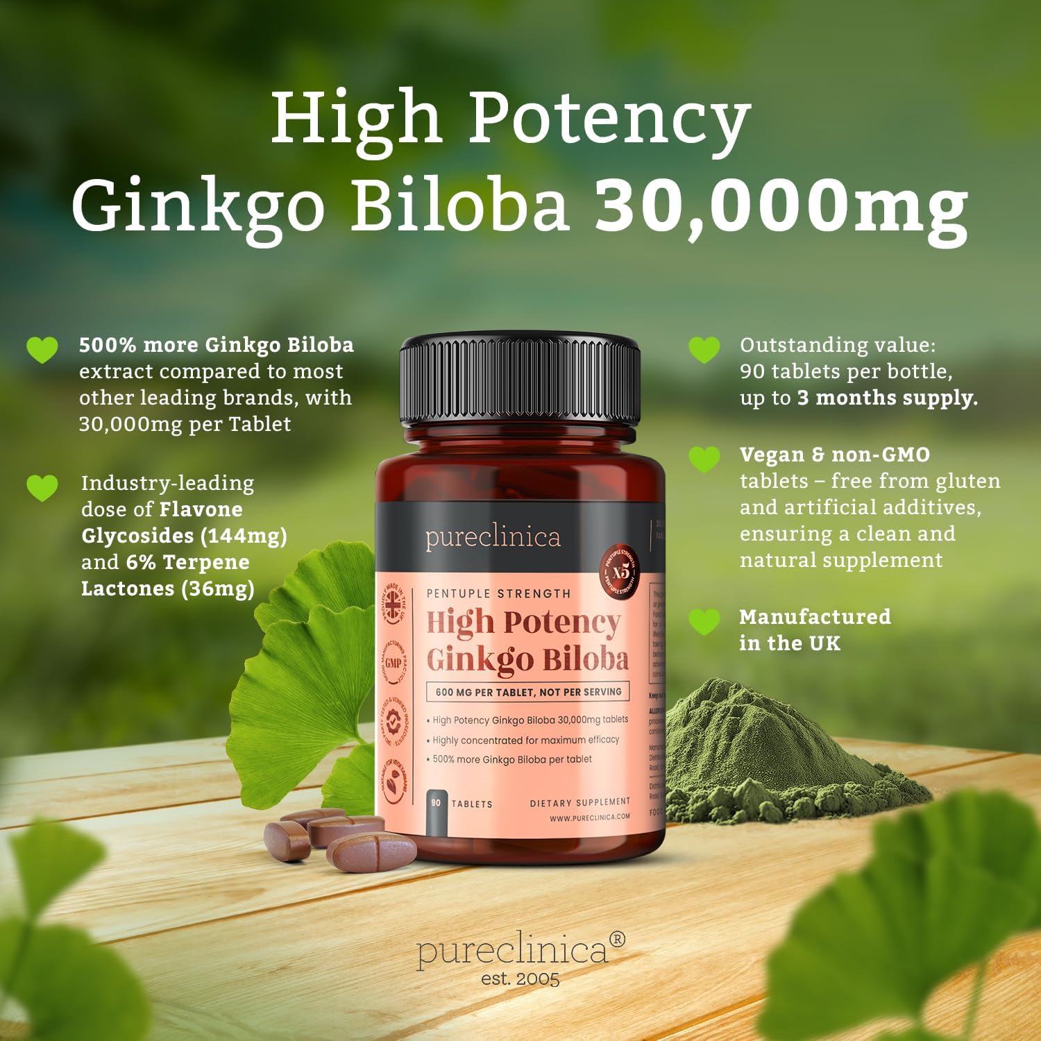 High Potency Ginkgo Biloba 30,000mg x 180 Tablets - 6 Month Supply - 5x Stronger than Competitors (2 Bottles of 90)