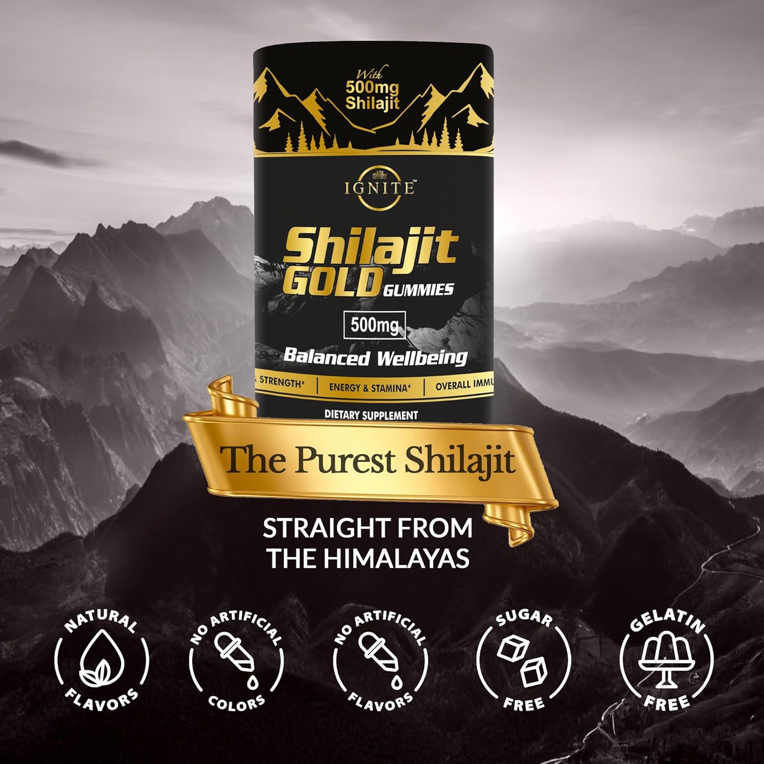 High Potency Gold Grade Himalayan Shilajit Gummies with 100% Pure Shilajit & 75%+ Fulvic Acid for Energy Boost & Immune Support - 60 Travel-Friendly Tamarind Flavor Gummies