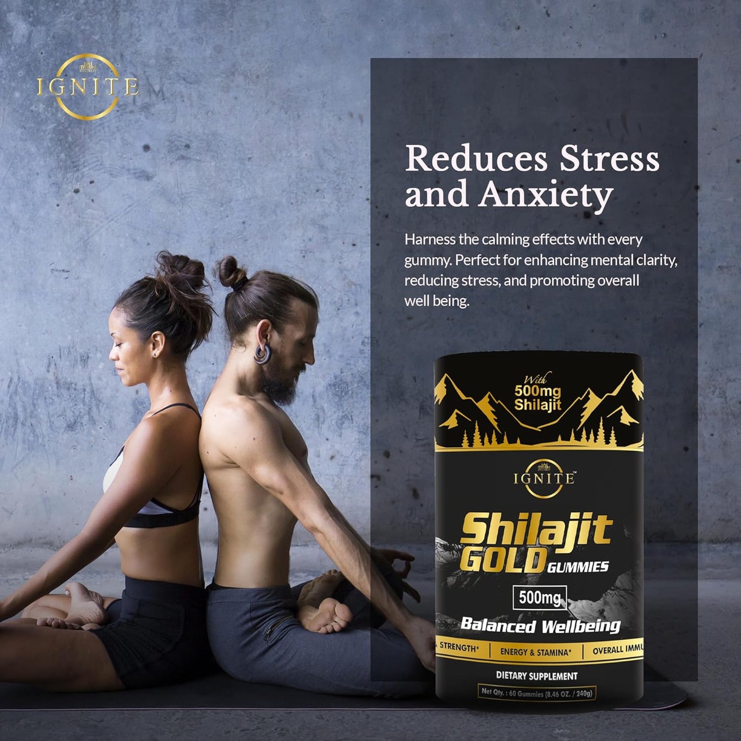 High Potency Gold Grade Himalayan Shilajit Gummies with 100% Pure Shilajit & 75%+ Fulvic Acid for Energy Boost & Immune Support - 60 Travel-Friendly Tamarind Flavor Gummies