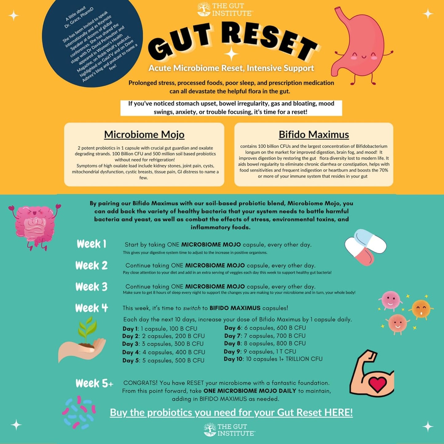 High Potency Gut Reset Protocol: Microbiome Mojo, Bifido Maximus, & Protocol PDF - Probiotics for Gut Harmony, Immunity Boost, Hormone Balance & Mood