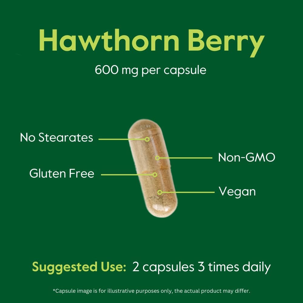High Potency Hawthorn Berry Capsules - 600mg (240 Vegan Capsules) - No Stearates, Fillers - Non GMO, Gluten Free