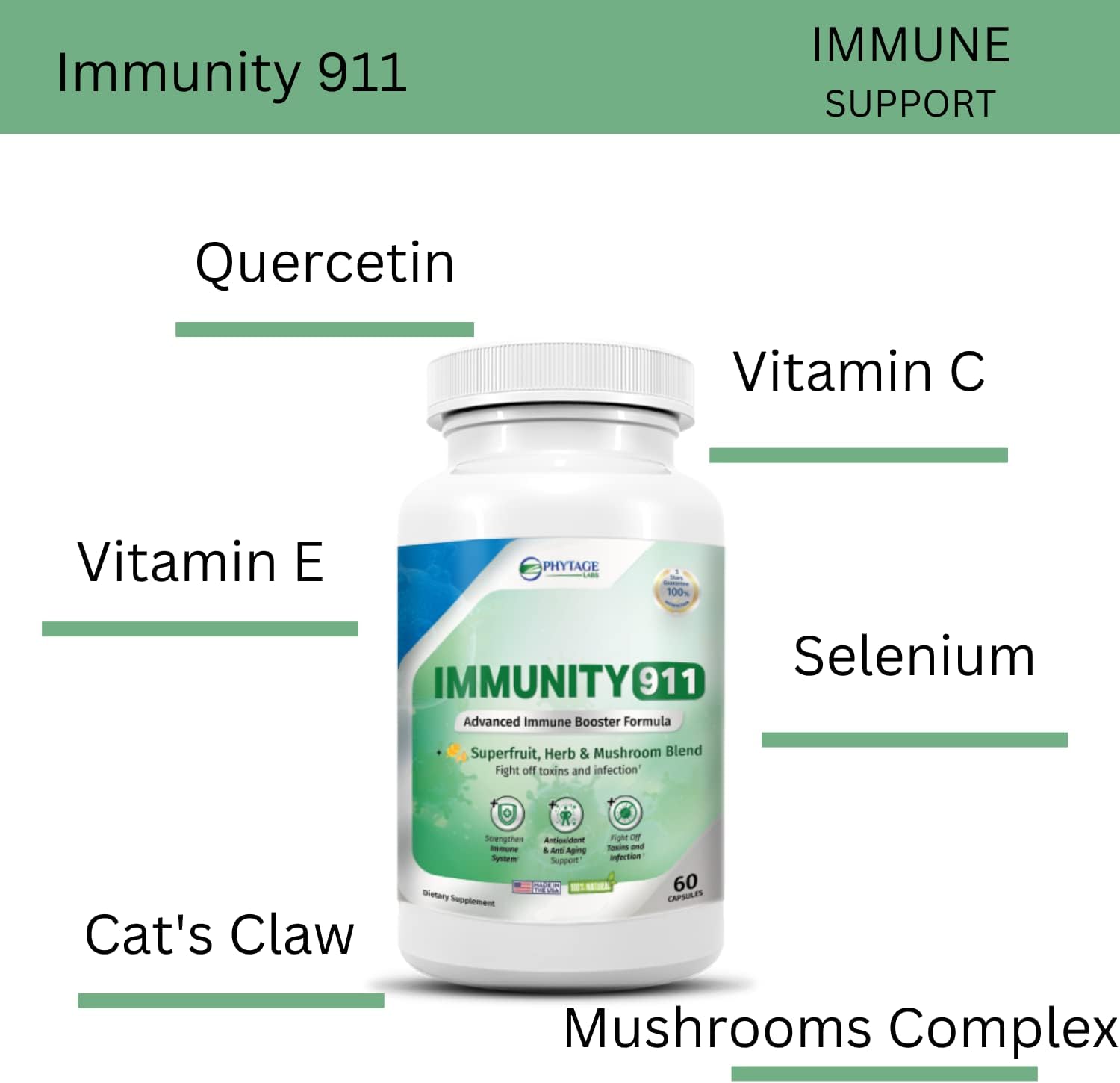 High Potency Immunity Support Supplement with Natural Ingredients - Turmeric, Vitamin C, B6, E, Zinc - 60 Capsules by Phytage Labs