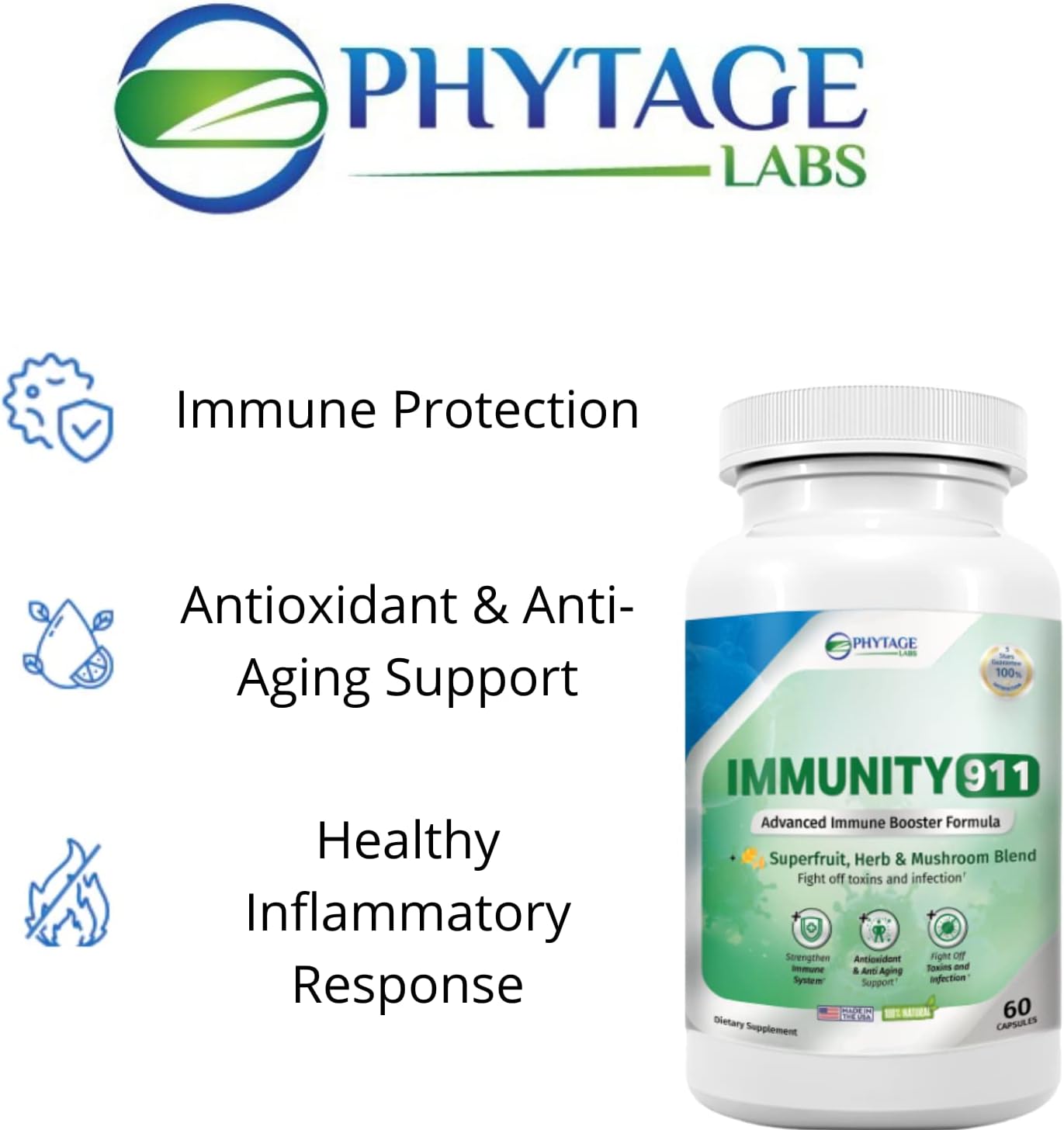High Potency Immunity Support Supplement with Natural Ingredients - Turmeric, Vitamin C, B6, E, Zinc - 60 Capsules by Phytage Labs