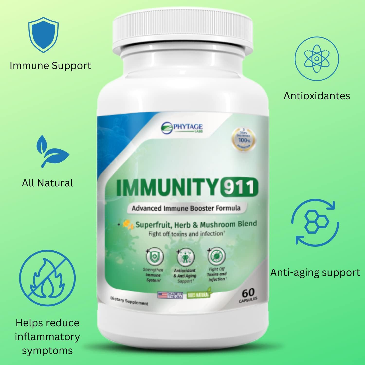 High Potency Immunity Support Supplement with Natural Ingredients - Turmeric, Vitamin C, B6, E, Zinc - 60 Capsules by Phytage Labs