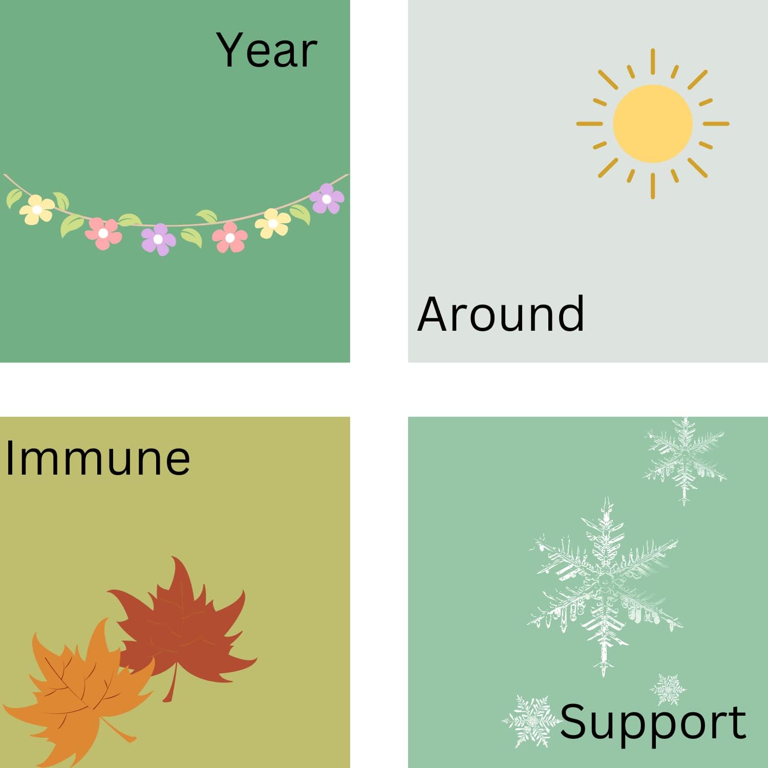 High Potency Immunity Support Supplement with Natural Ingredients - Turmeric, Vitamin C, B6, E, Zinc - 60 Capsules by Phytage Labs