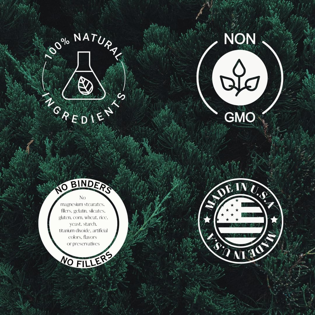 High-Potency Kacip Fatimah 100:1 Extract Capsules | Labisia Pumila Supplement for Women | 425mg | 60 Vegan Capsules