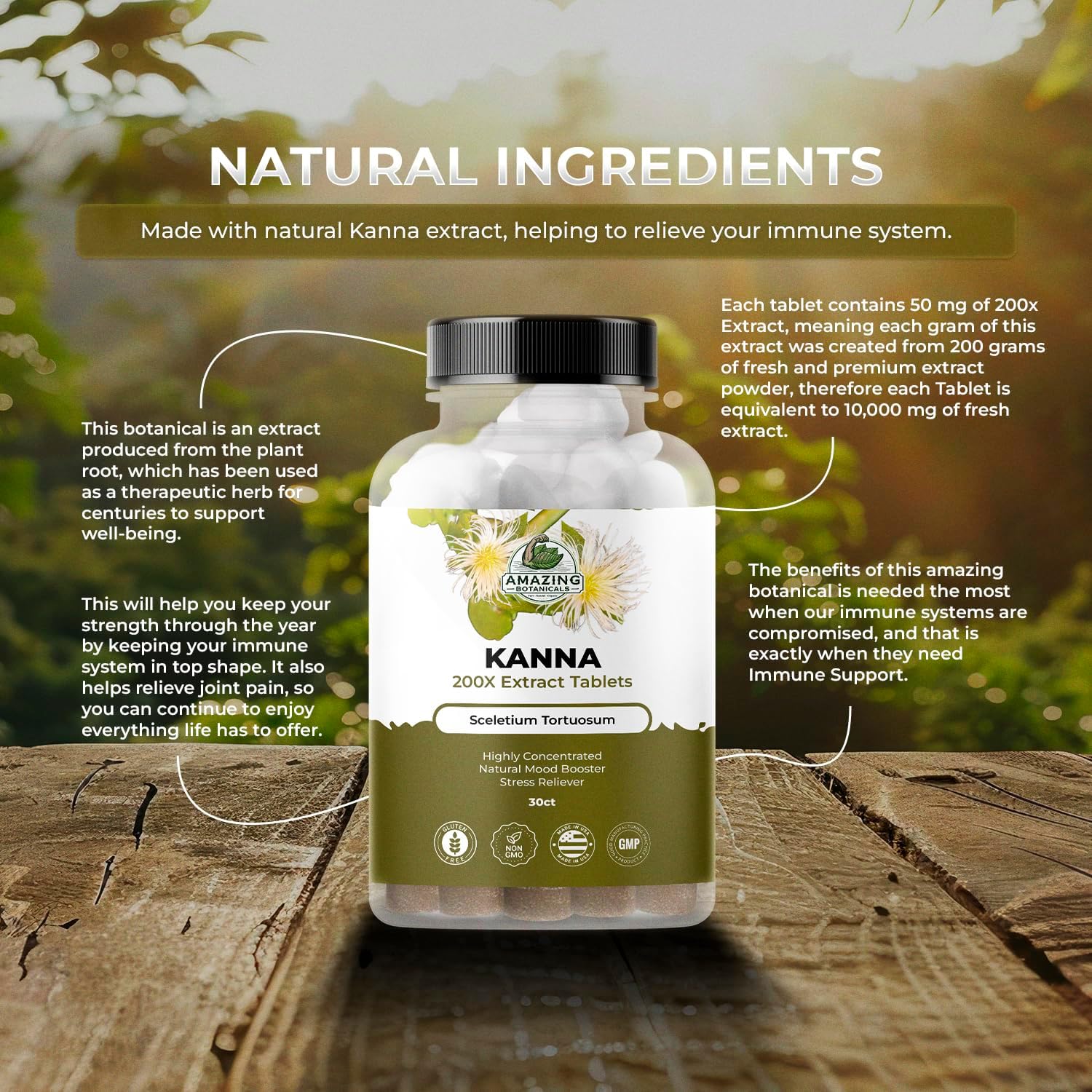High Potency Kanna Extract Tablets - 10,000 mg Sceletium Tortuosum - Energy and Mood Booster - Immune Support - 30 Tablets
