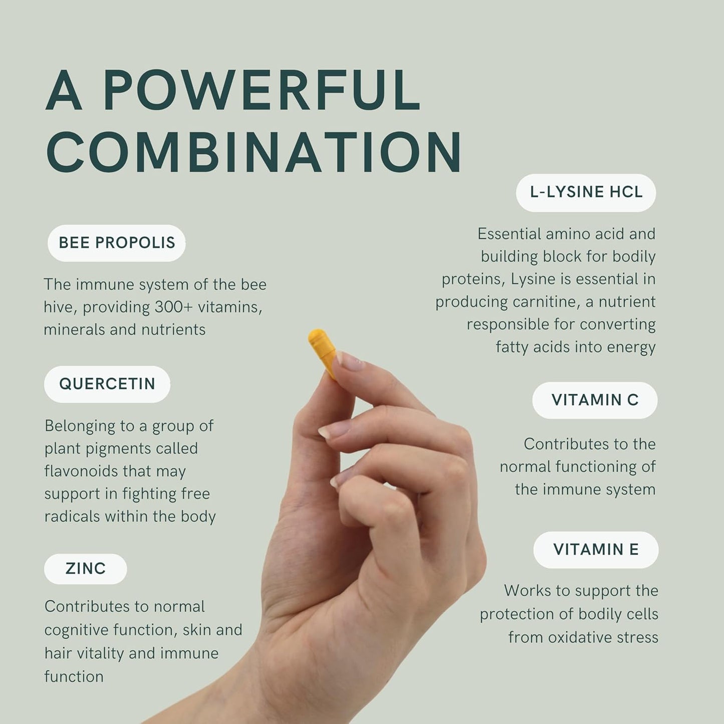 High Potency L-Lysine & Propolis Supplements for Immune Support with Quercetin, Vitamin C, E, and Zinc by Dr. Sosnowski