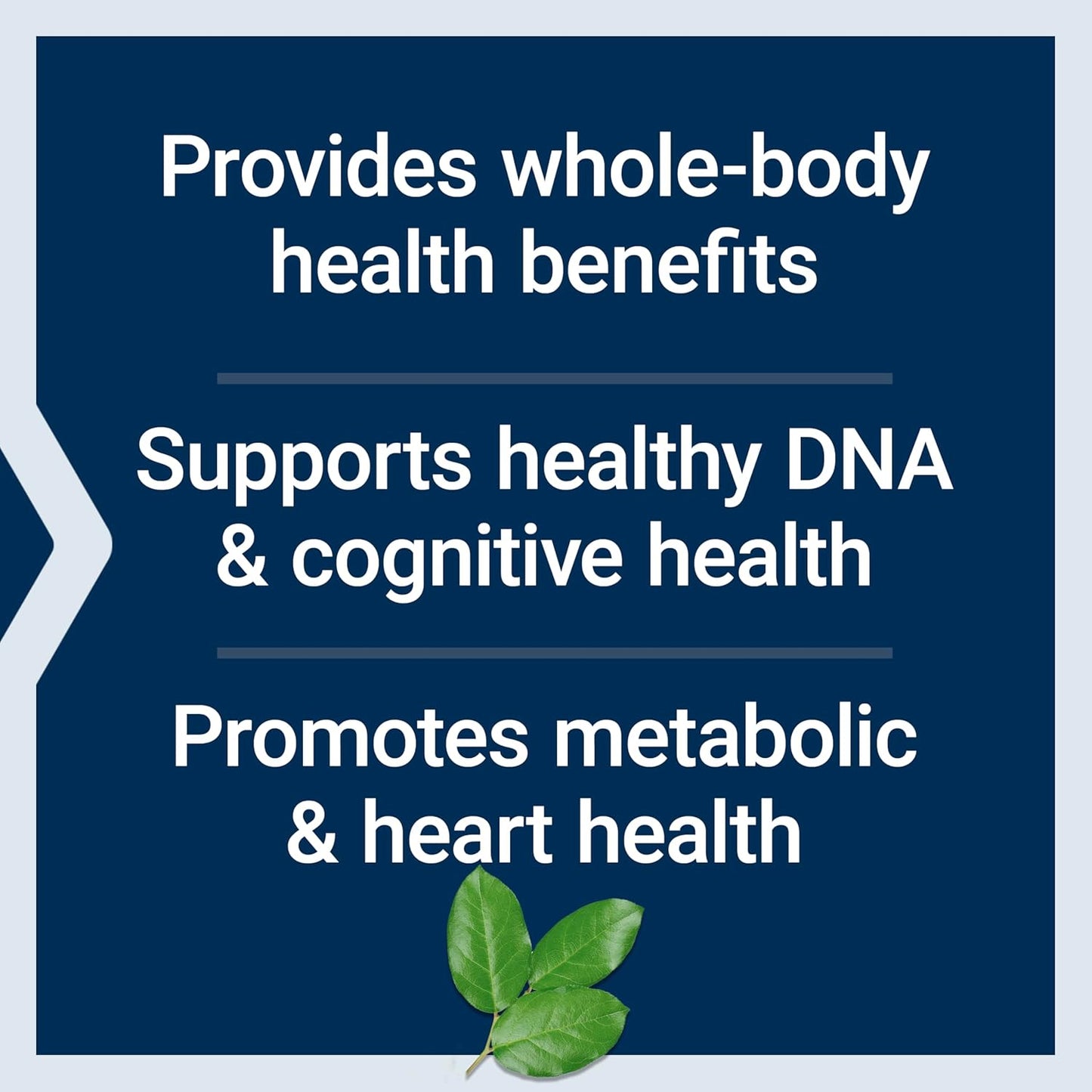 High-Potency Life Extension Mix™ Capsules with Vitamin C, B, D, E, Magnesium for Whole-Body Health, Healthy Aging - 360 Capsules