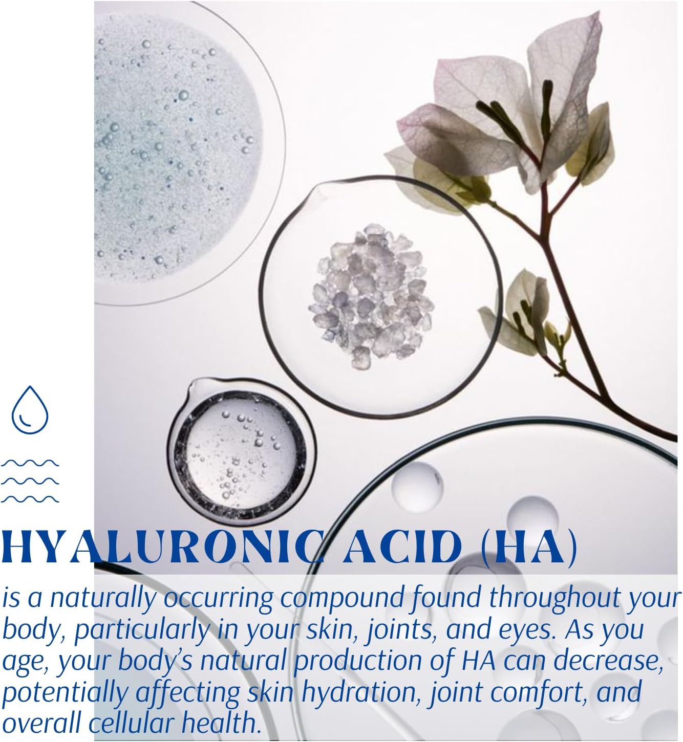 High Potency Liposomal Hyaluronic Acid Supplements - 1000MG Formula