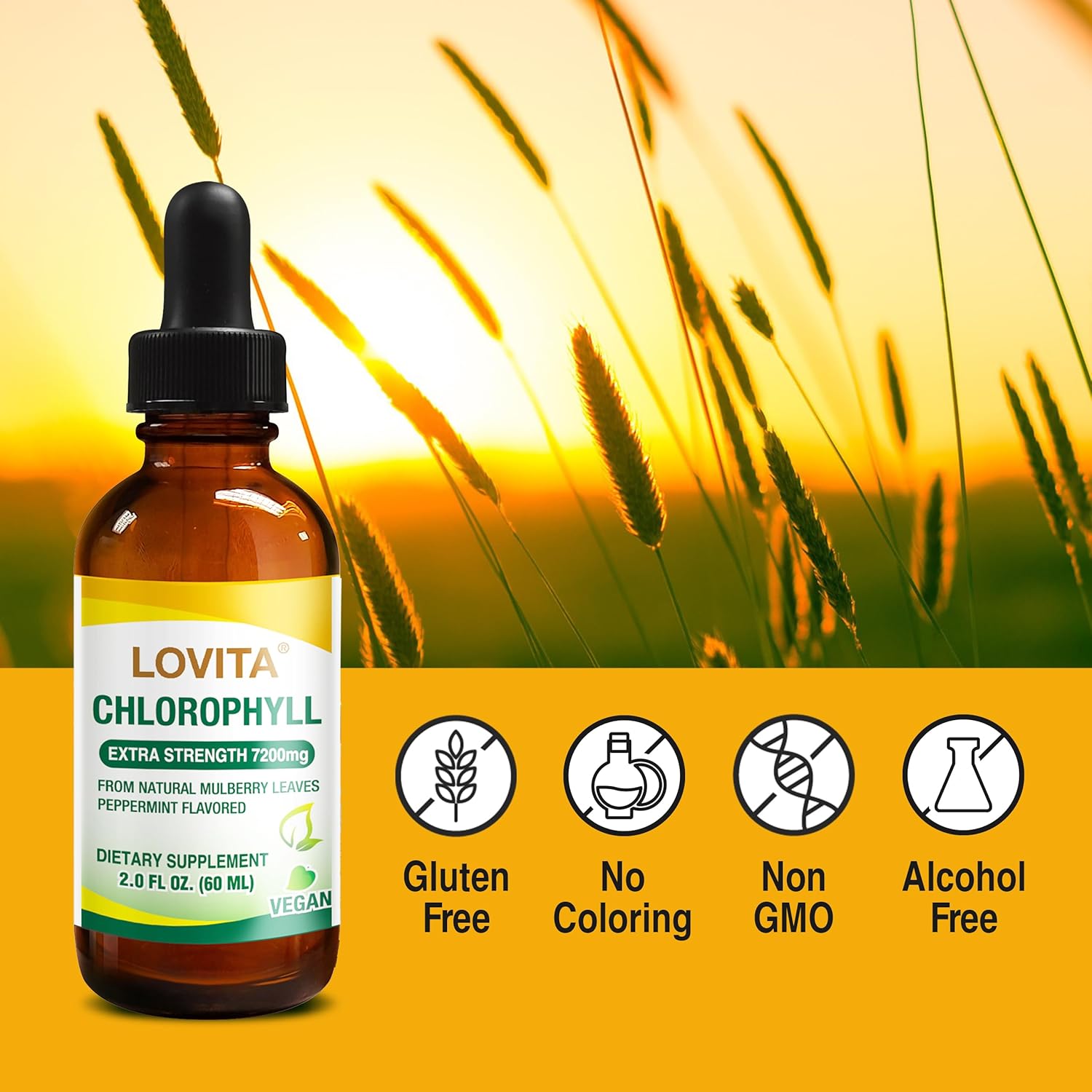 High Potency Lovita Chlorophyll Liquid Concentrate - Internal Deodorant, Skin Health, Energy Booster, Immune Support - 120mg/mL - Natural Mulberry Leaf - 2 Fl Oz x 3 Pack