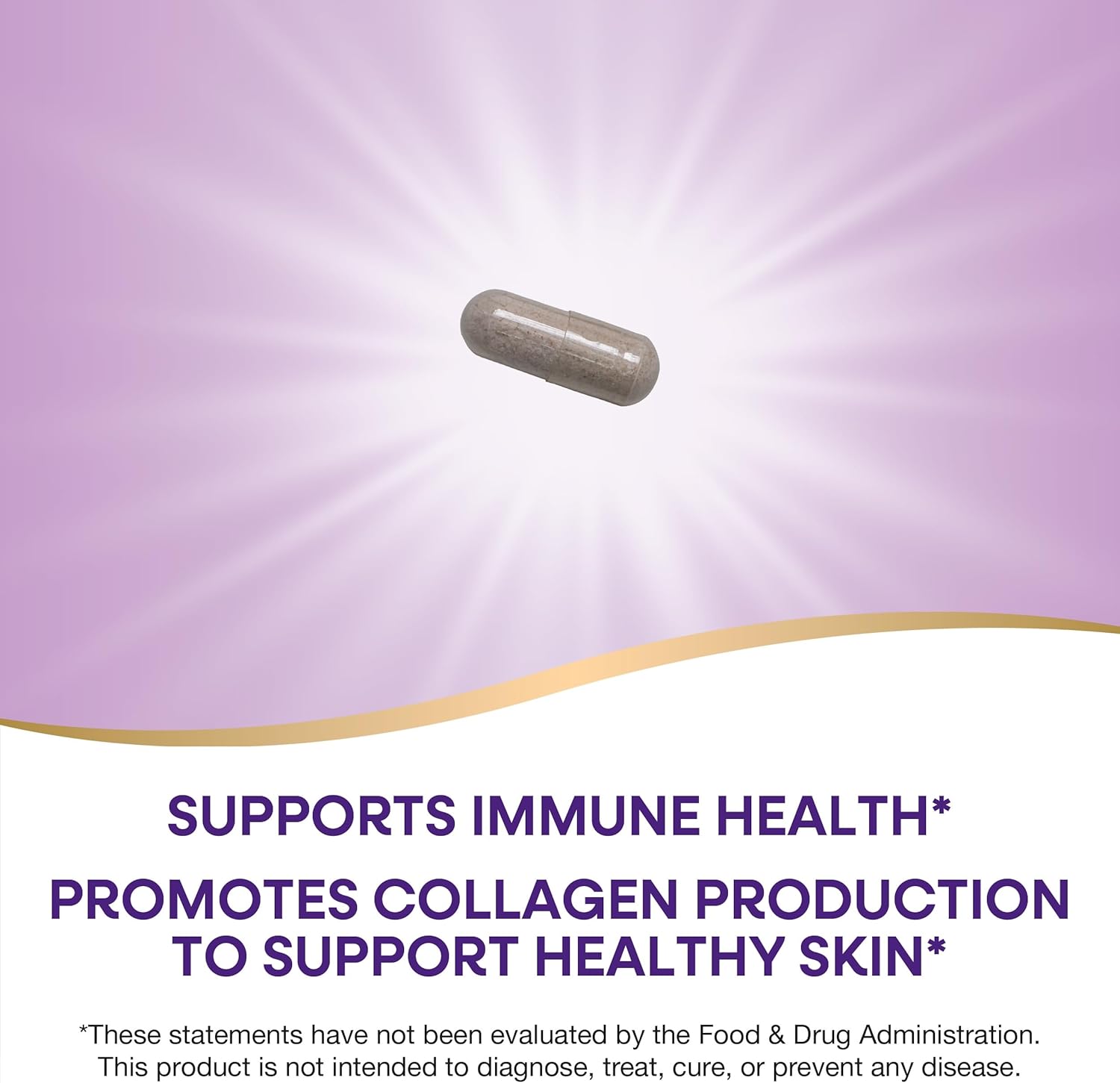 High Potency Nature's Way Vitamin C with Rose Hips; 1000mg per Serving; 250 Capsules for Immune Support
