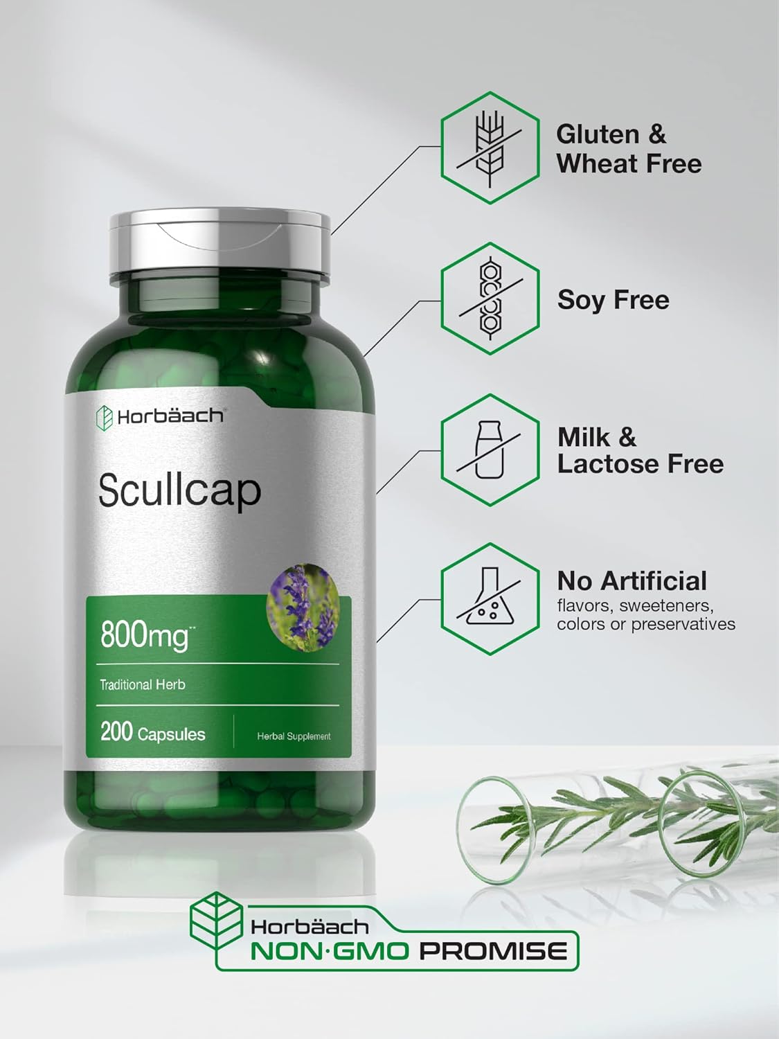 High Potency Non-GMO Scullcap Capsules - 800mg, 200 Count - Gluten Free Supplement with Scutellaria Baicalensis