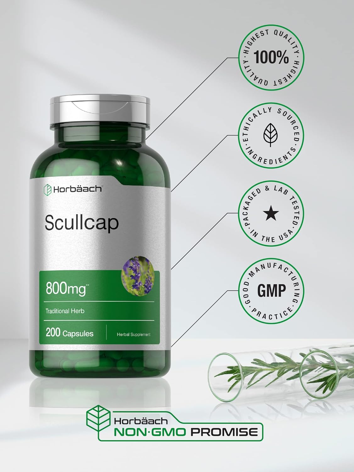 High Potency Non-GMO Scullcap Capsules - 800mg, 200 Count - Gluten Free Supplement with Scutellaria Baicalensis