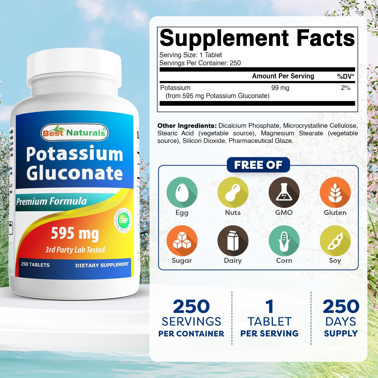 High Potency Potassium Gluconate Tablets - 595 mg, 500 Count (2 Pack) - Best Natural Supplement for Electrolyte Balance and Muscle Function