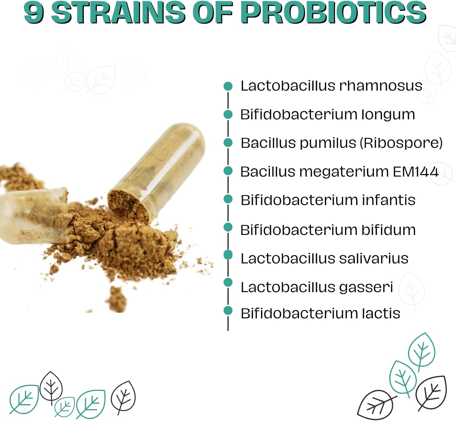 High Potency Probiotic Bundle for Gut Health: Microbiome Mojo & Bifido Maximus - Boost Immunity, Balance Hormones, Elevate Mood - 9 Powerful Strains
