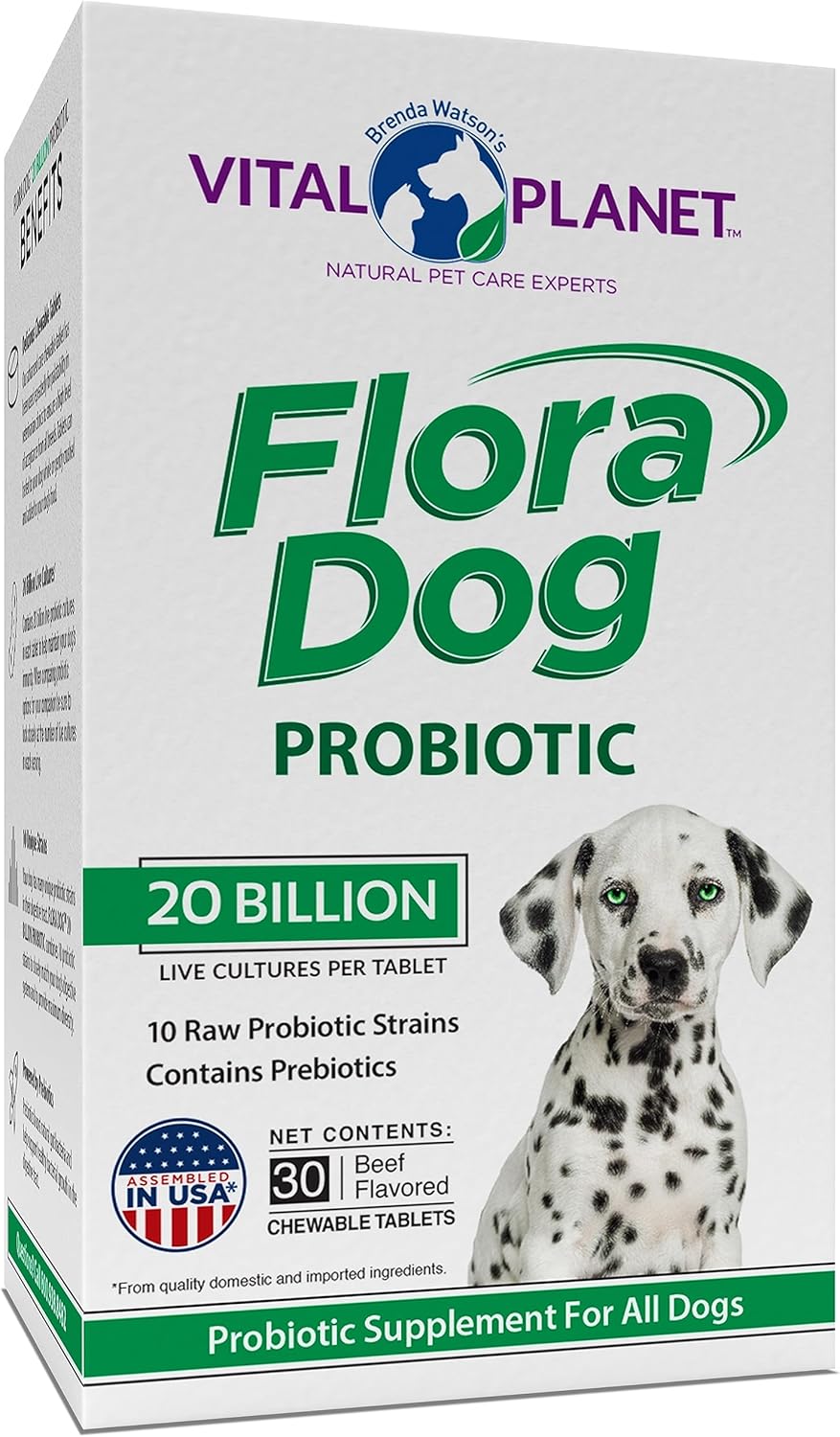 High Potency Probiotic Chewable Tablets for Dogs - 30 Beef Flavored Tablets with 20 Billion Cultures and 10 Strains - Immune and Digestive Support